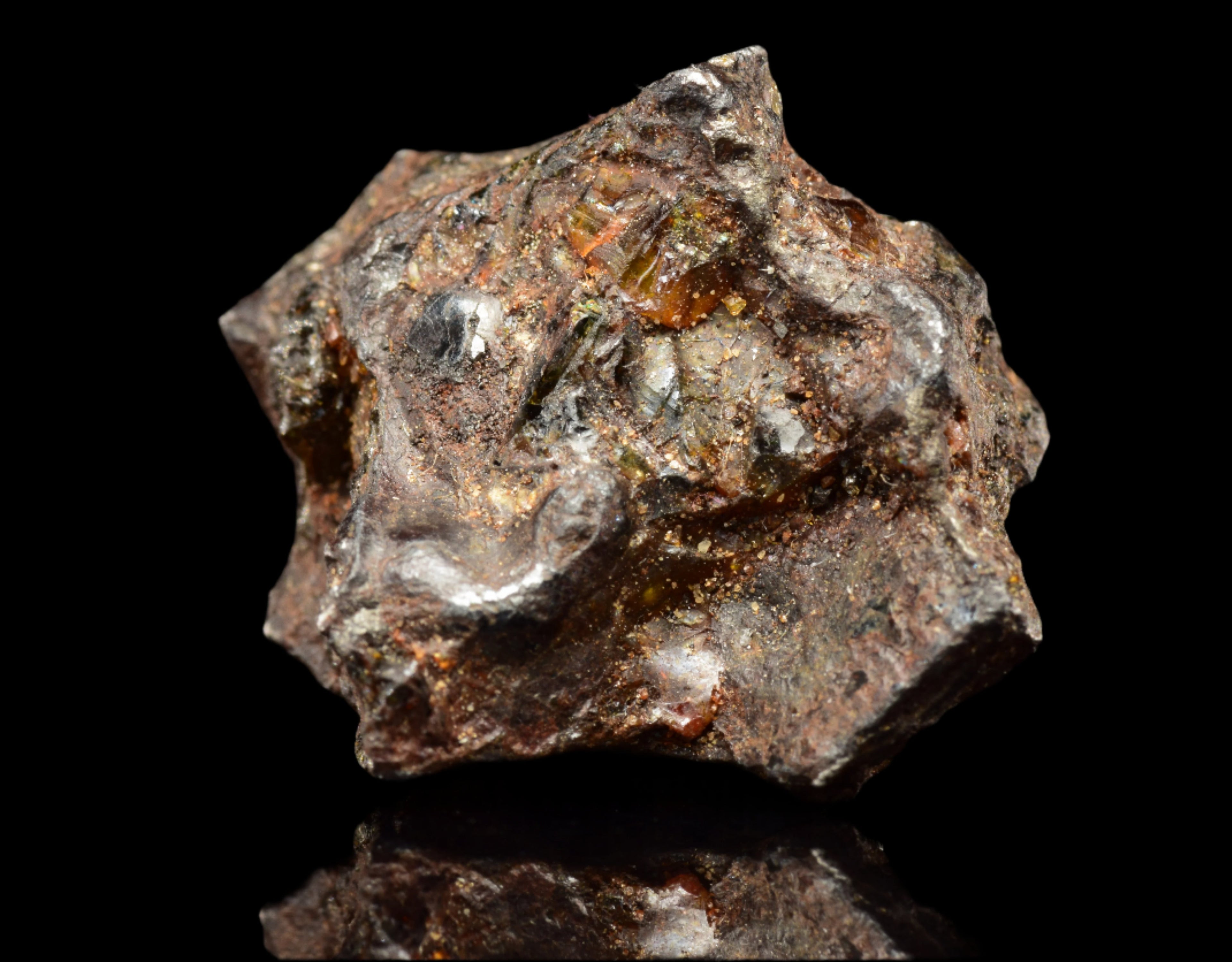 NWA 15971  Pallasite Meteorite