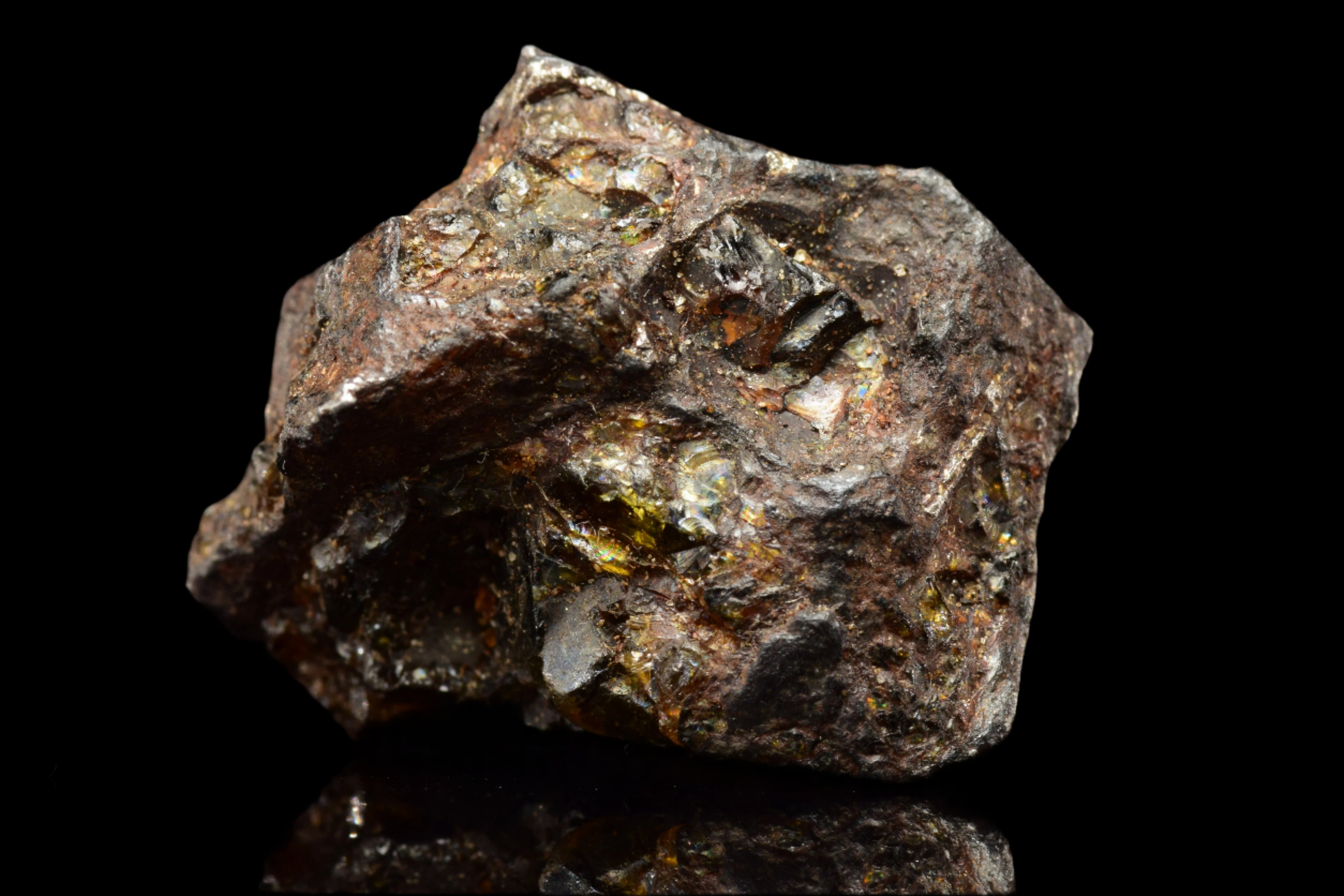 NWA 15971  Pallasite Meteorite