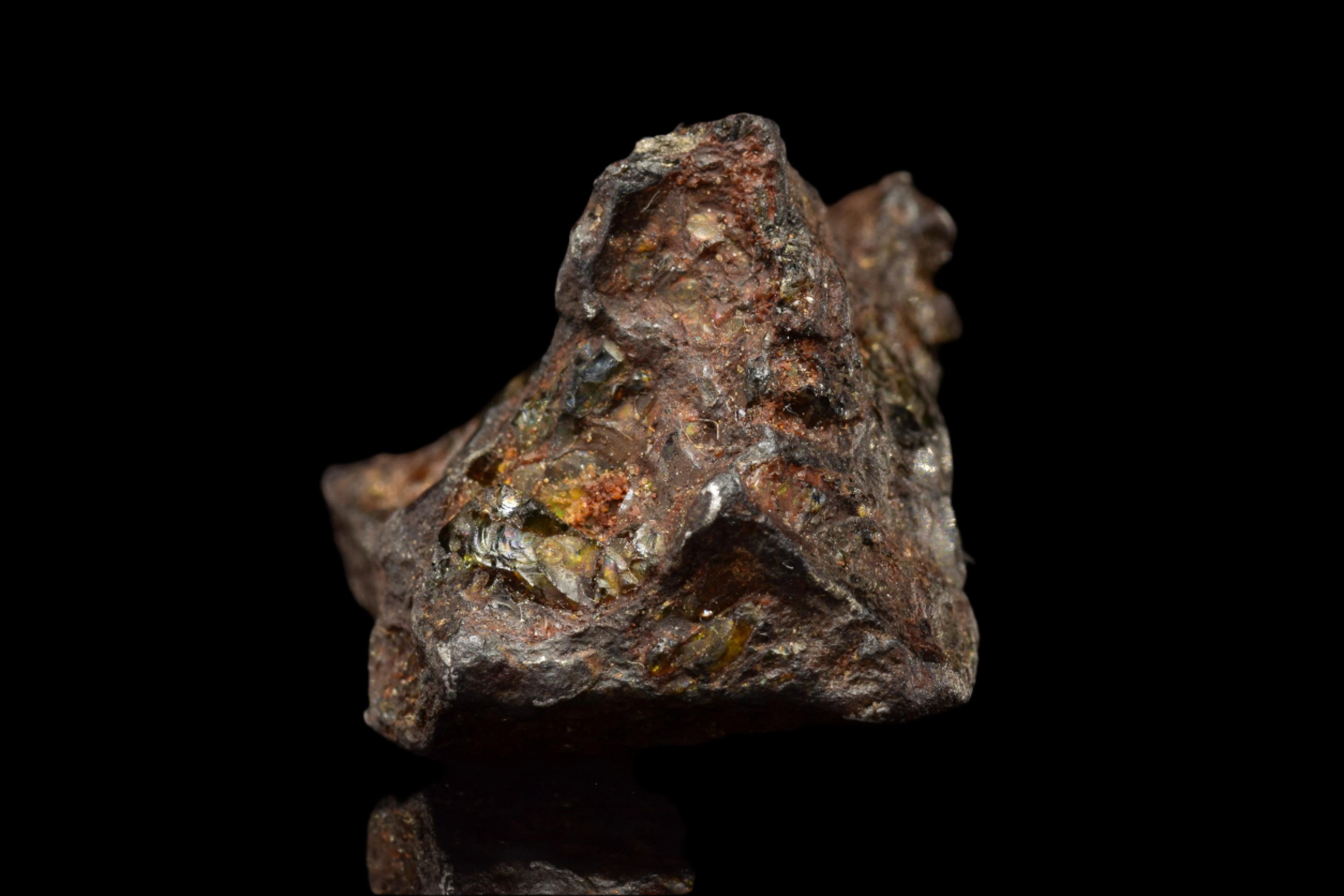 NWA 15971  Pallasite Meteorite
