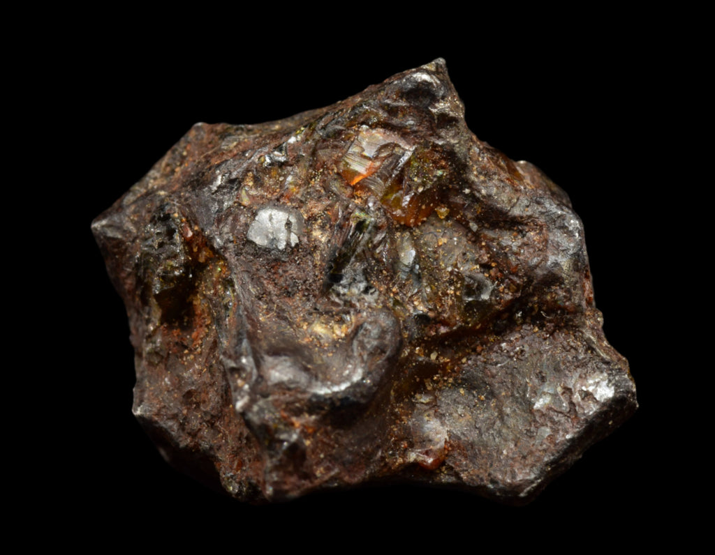 NWA 15971  Pallasite Meteorite