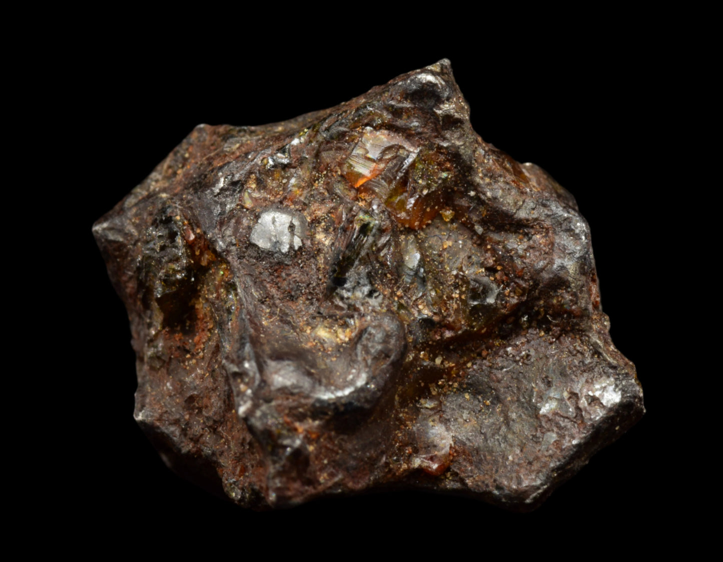 NWA 15971 Pallasite PMG 6.12 G.