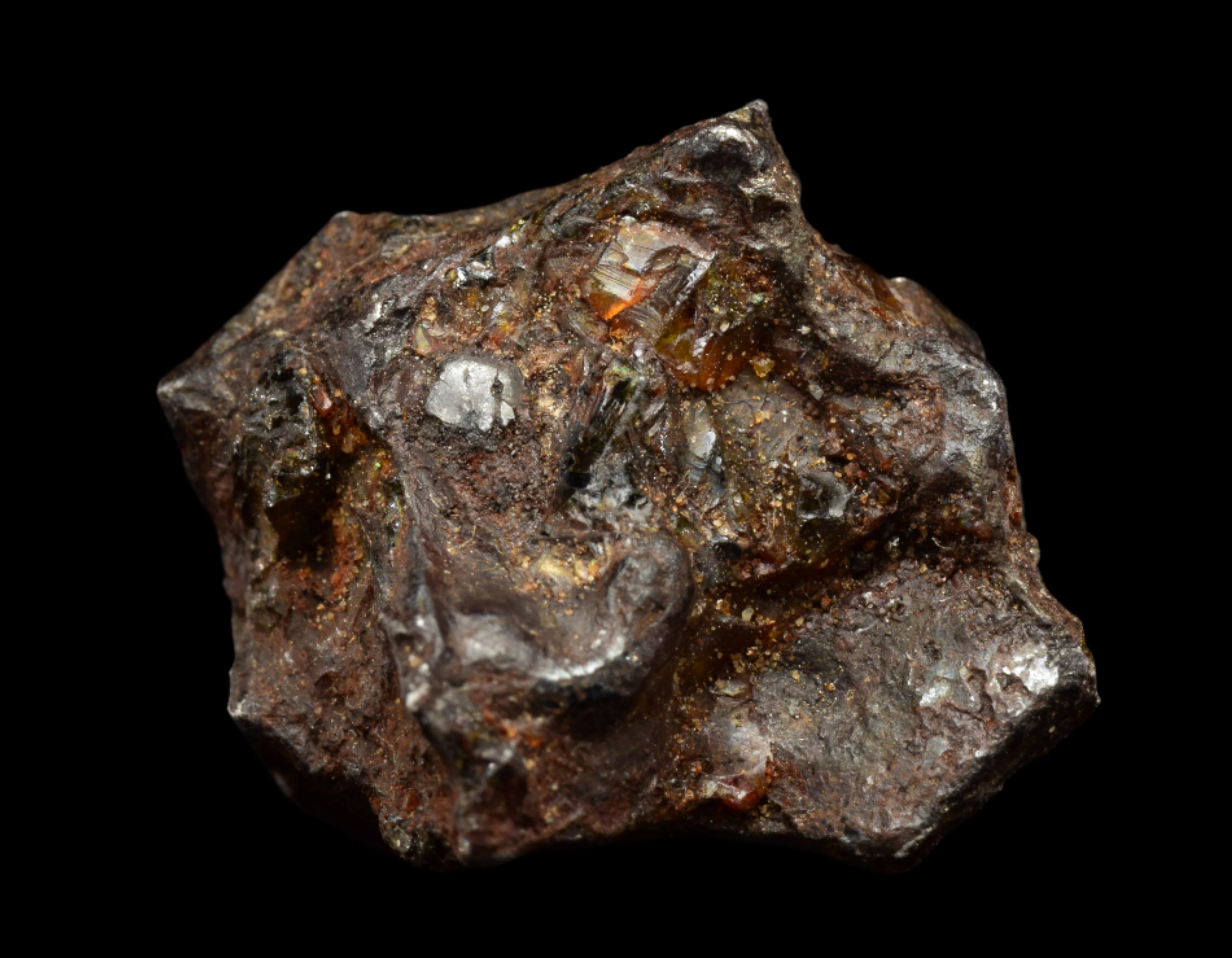 NWA 15971  Pallasite Meteorite