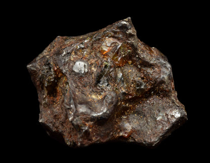 NWA 15971 Pallasite PMG 6.12 G.