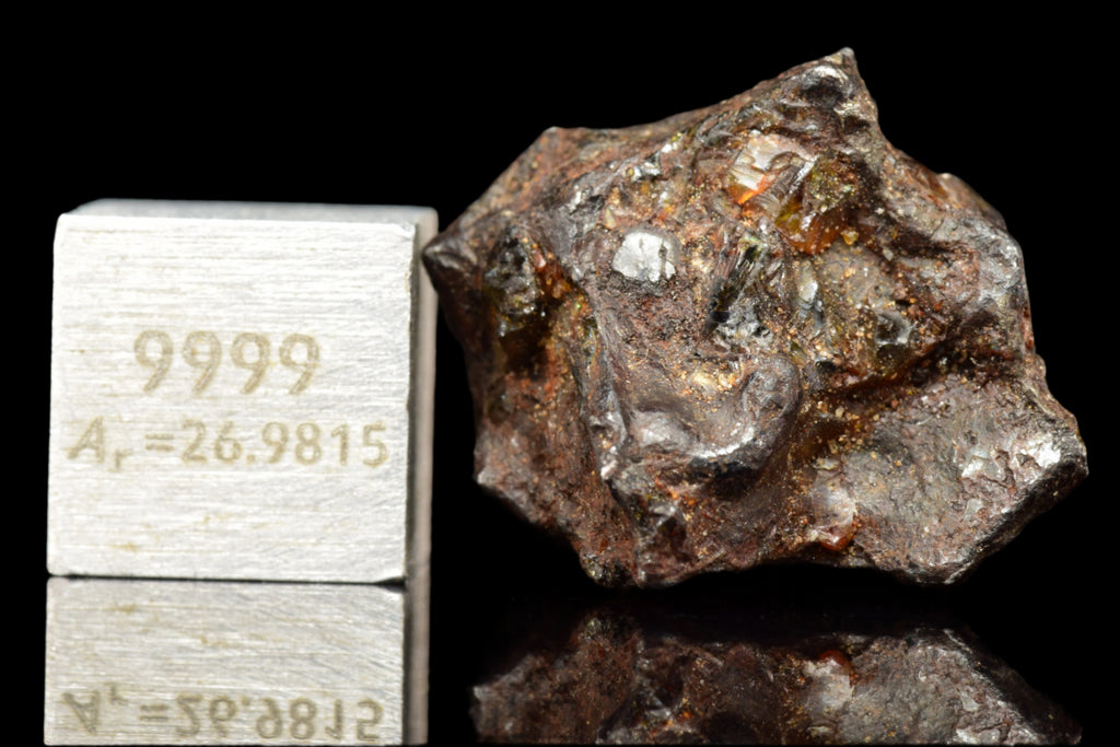 NWA 15971  Pallasite Meteorite