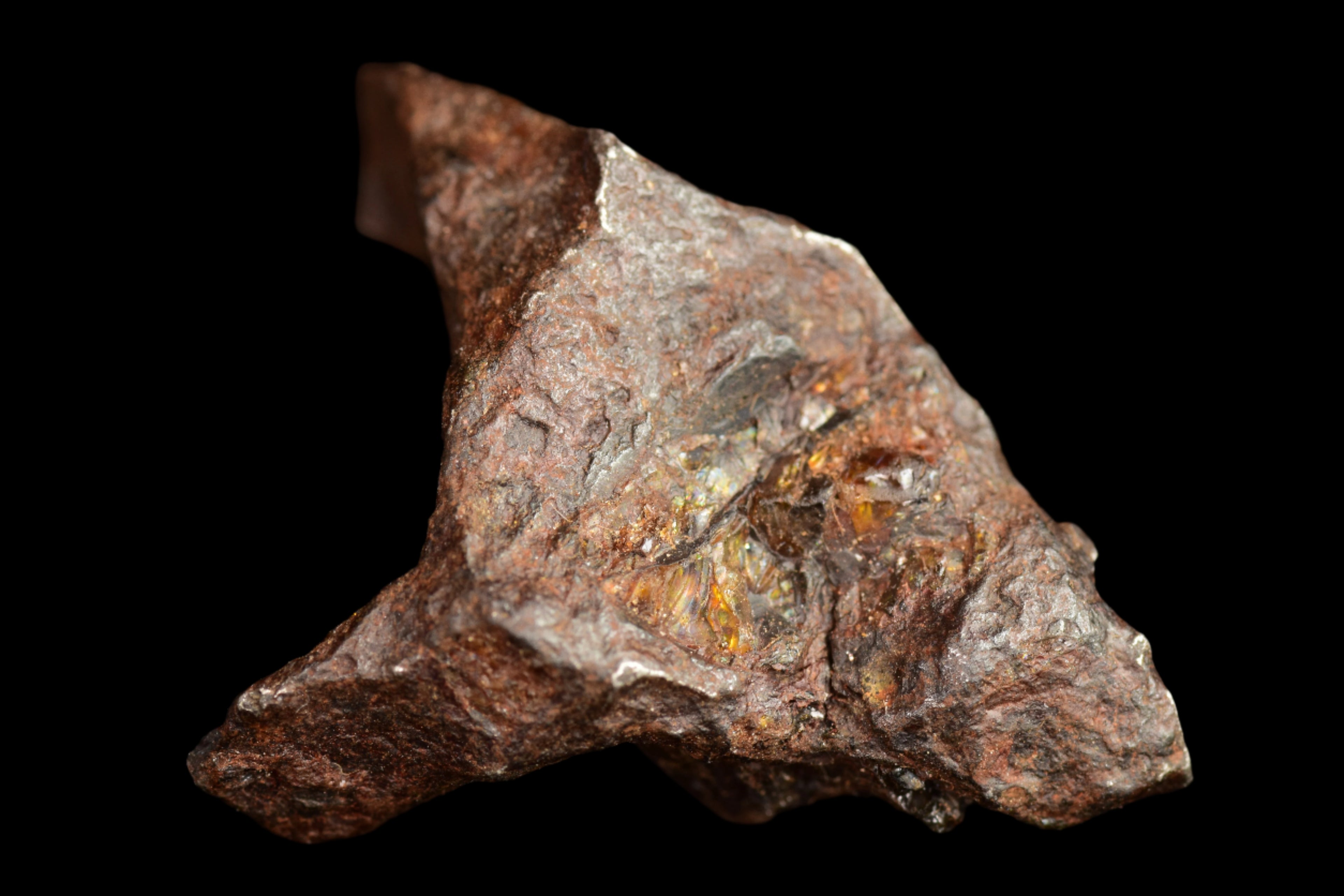 NWA 15971 Pallasite Meteorite