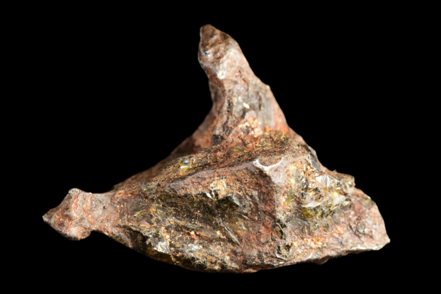 NWA 15971 Pallasite PMG 6.46 G.