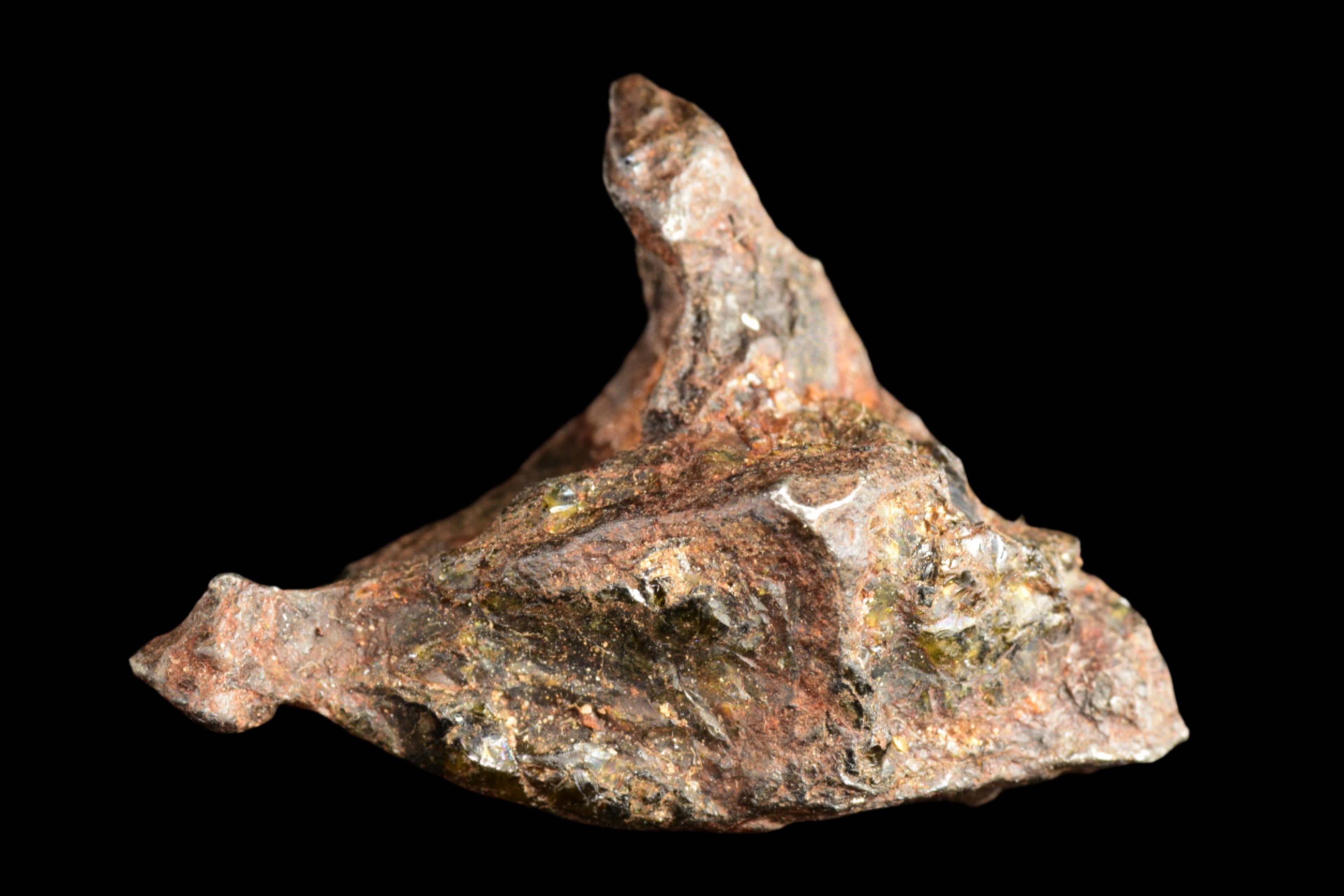 NWA 15971 Pallasite Meteorite