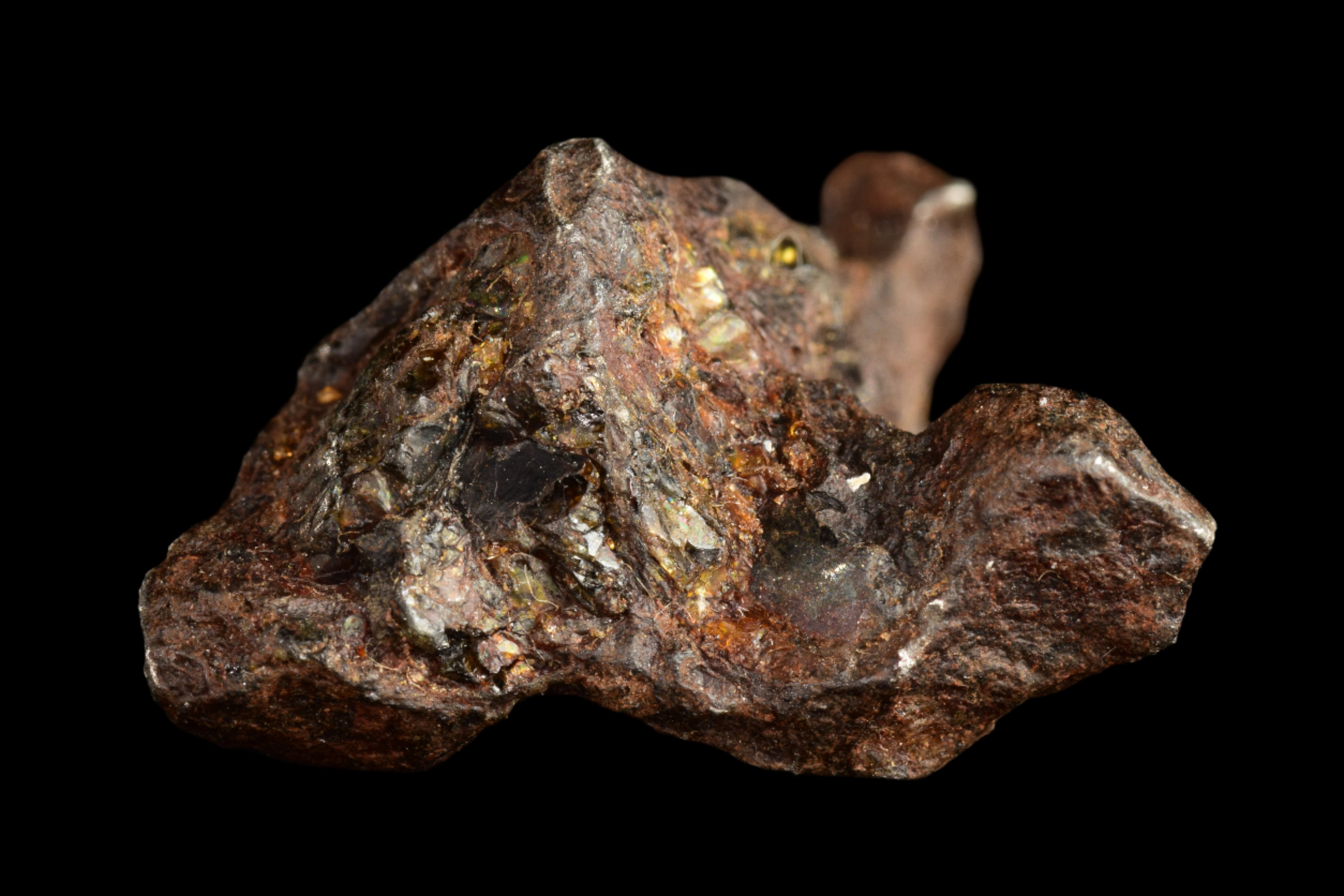NWA 15971 Pallasite Meteorite