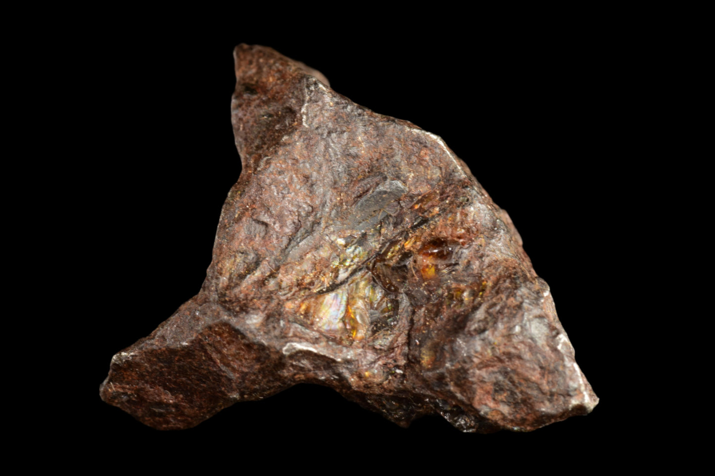 NWA 15971 Pallasite PMG 6.46 G.