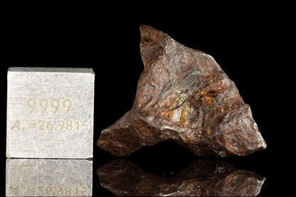 NWA 15971 Pallasite PMG 6.46 G.