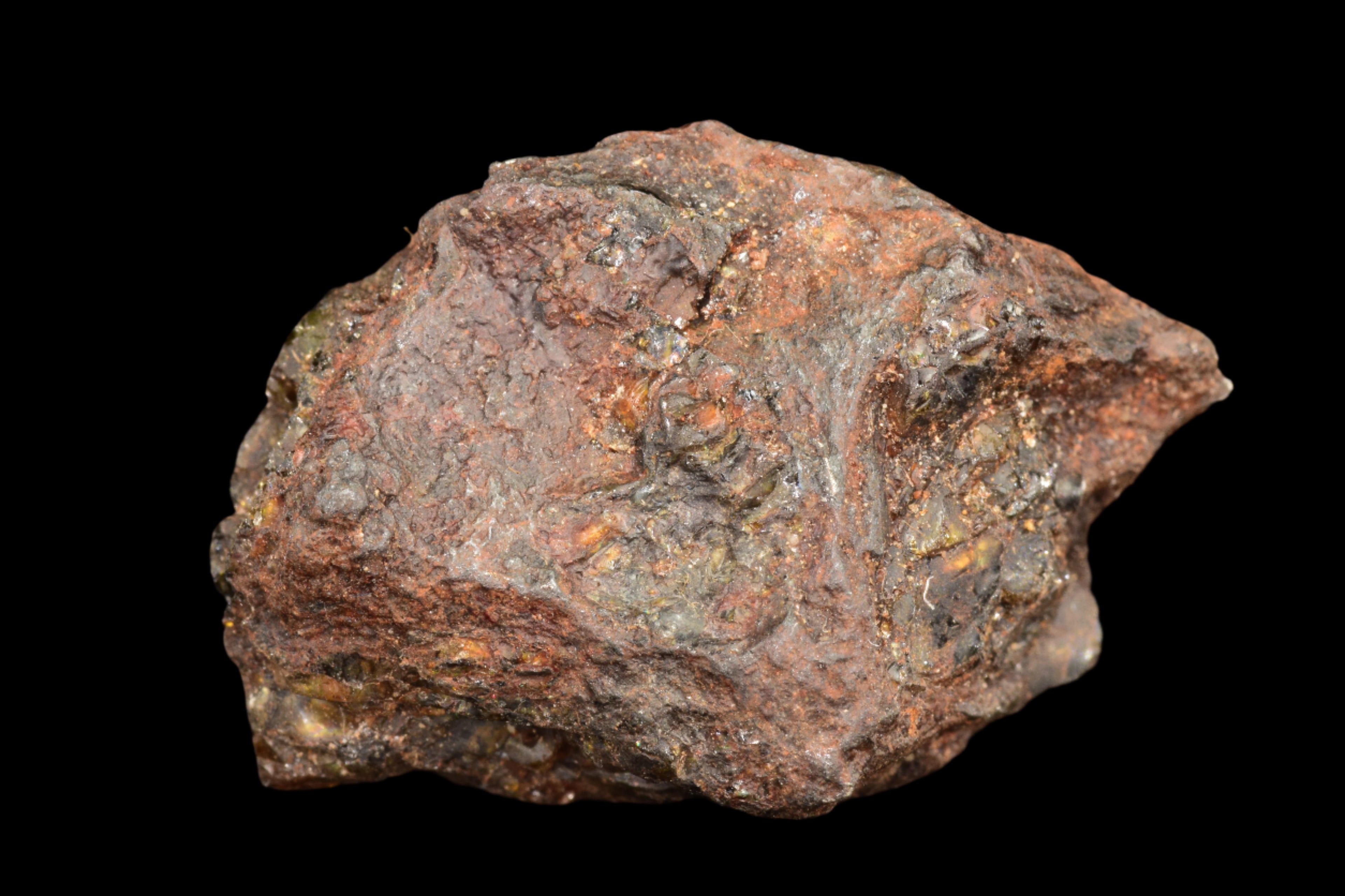 NWA 15971 Pallasite Meteorite