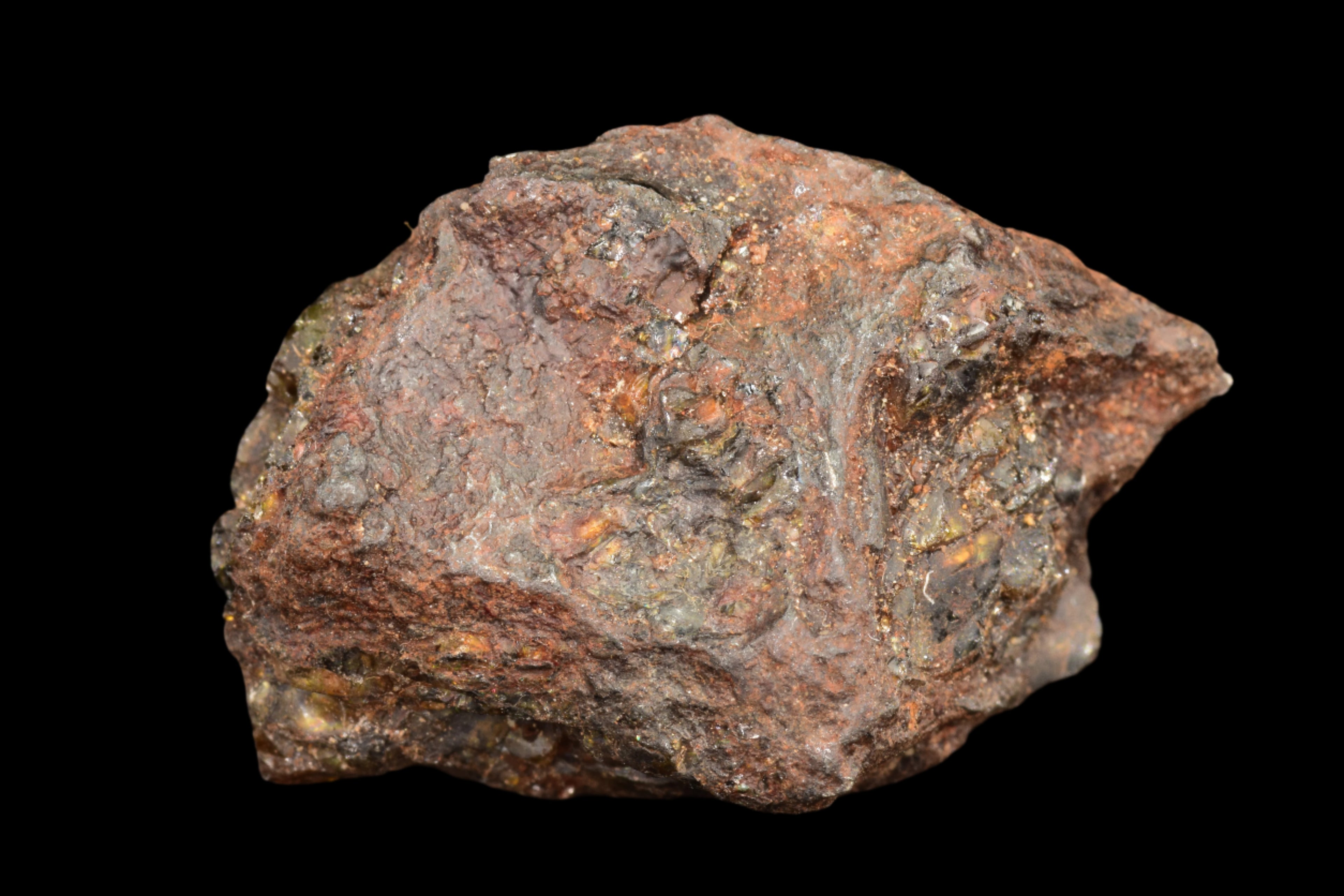 NWA 15971 Pallasite Meteorite