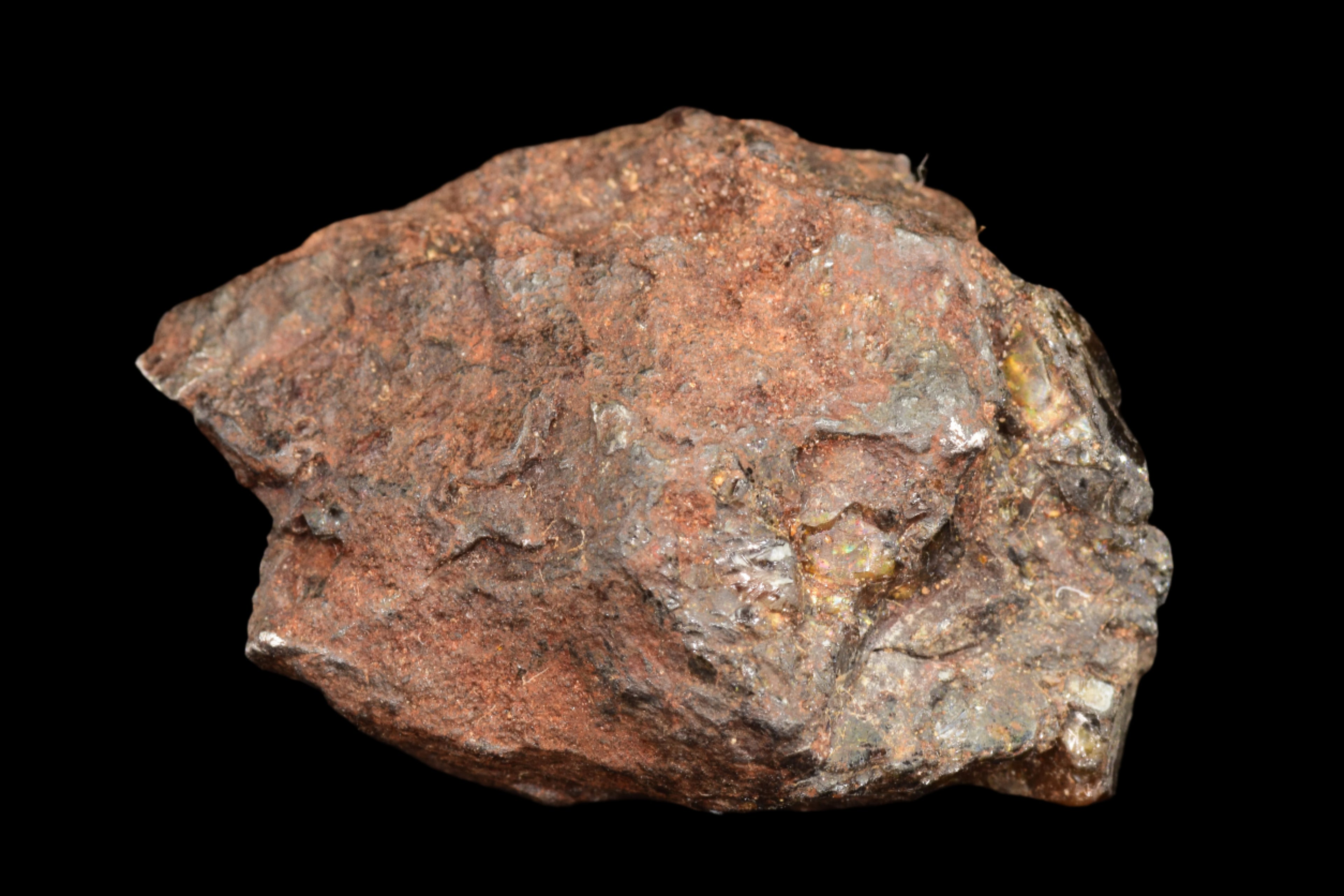 NWA 15971 Pallasite Meteorite