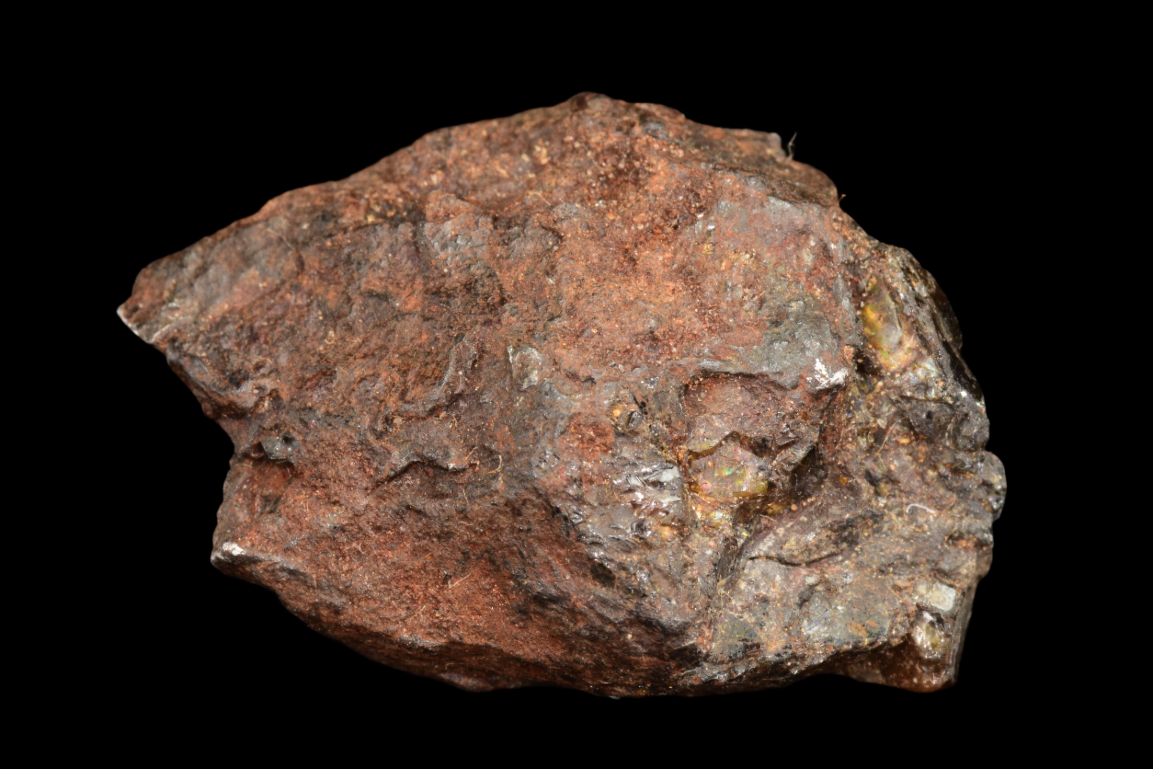 NWA 15971 Pallasite Meteorite
