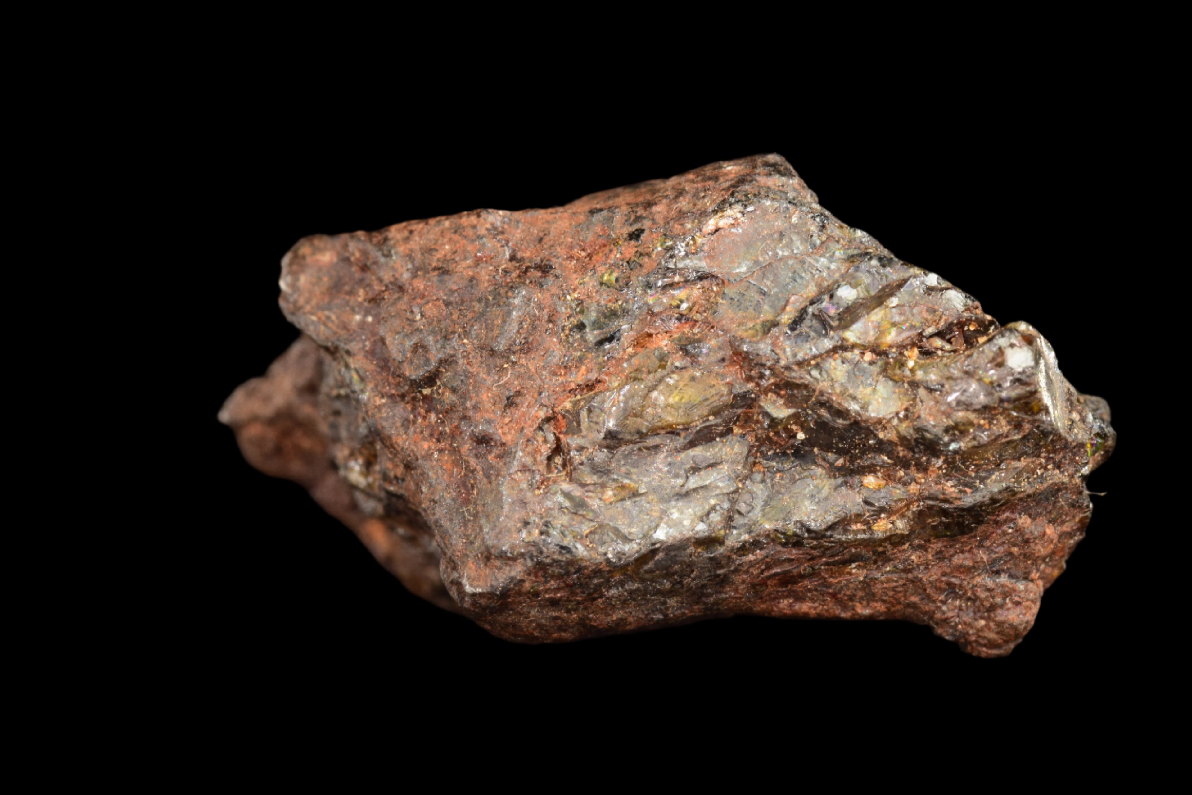 NWA 15971 Pallasite Meteorite
