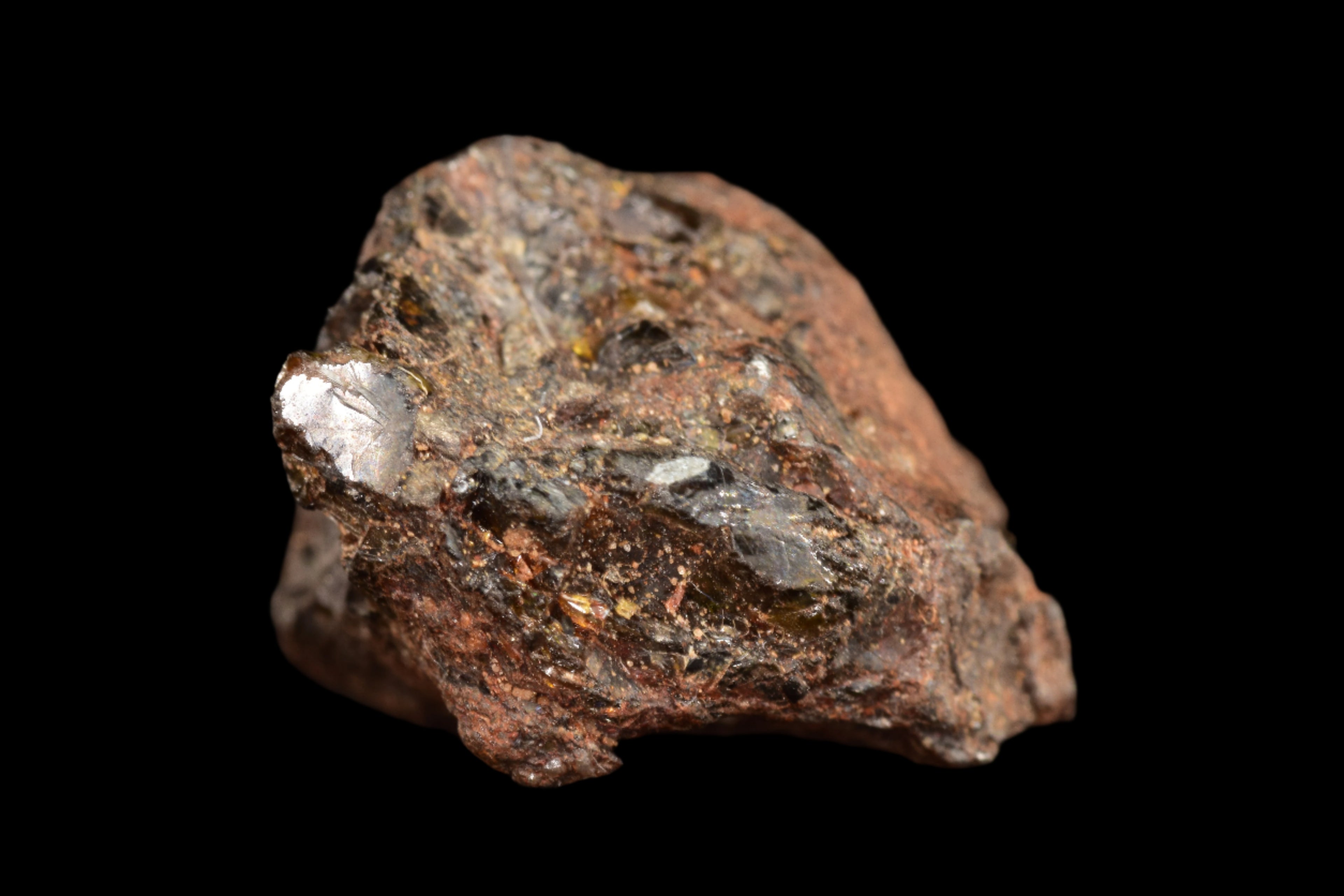 NWA 15971 Pallasite Meteorite