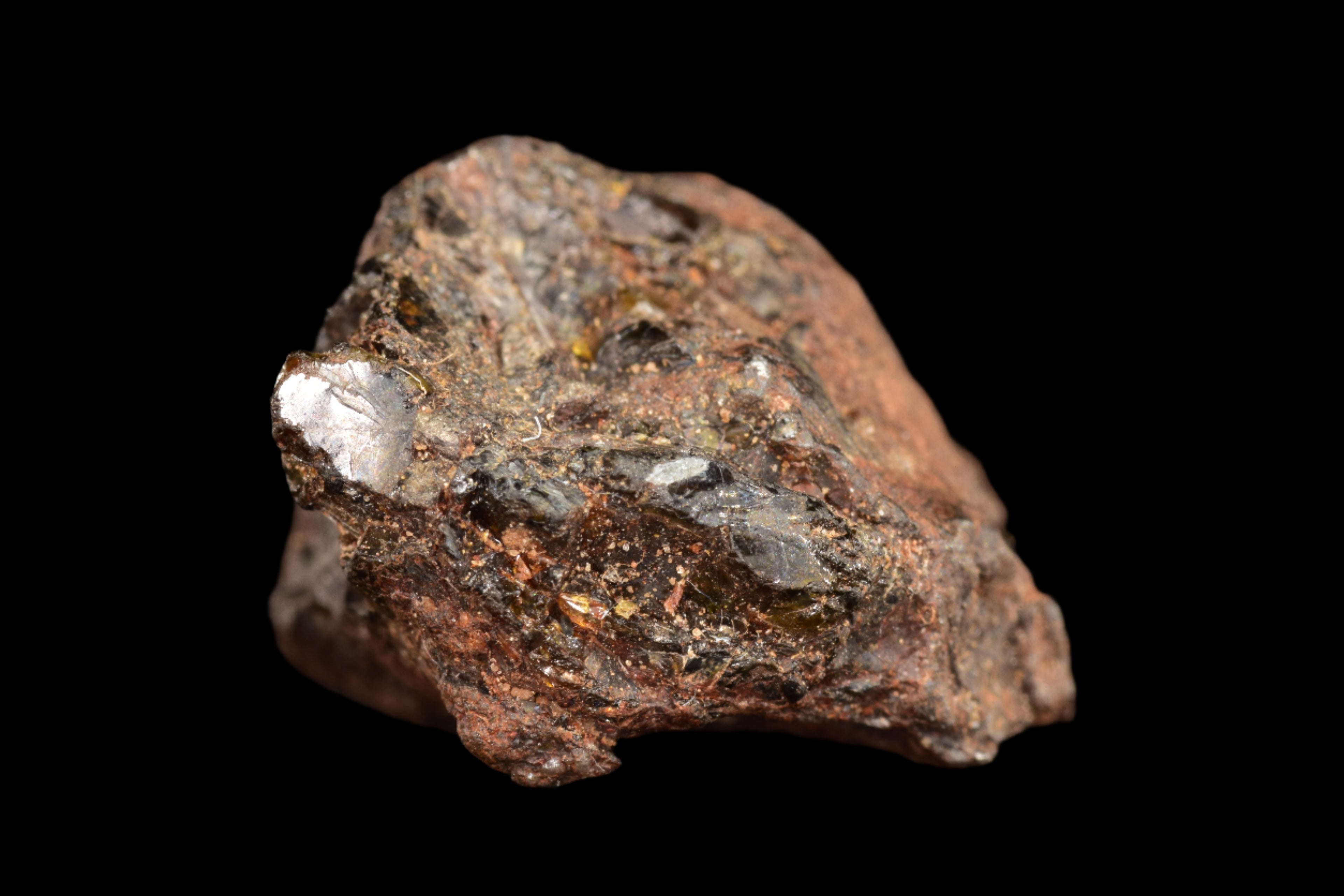 NWA 15971 Pallasite Meteorite