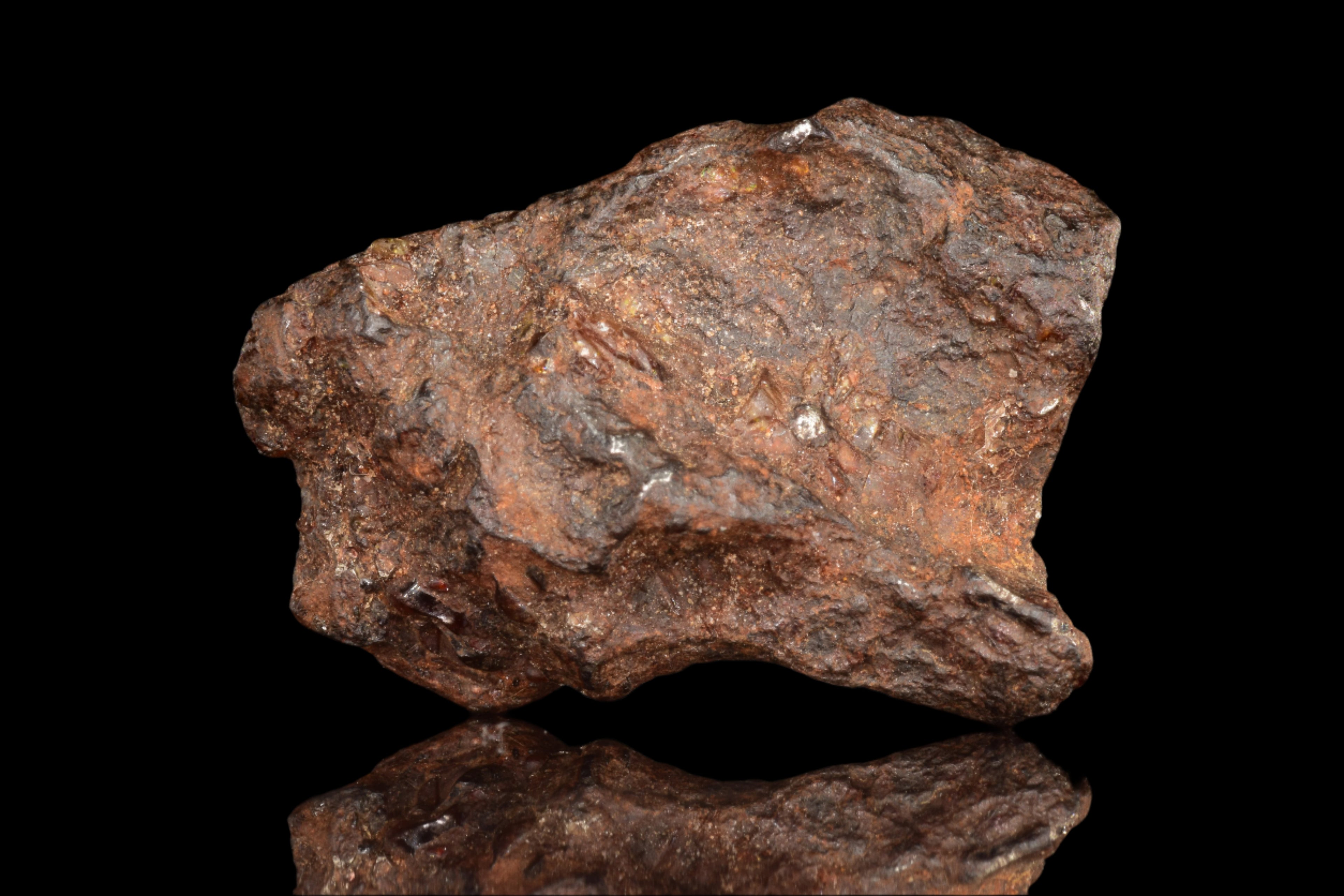 NWA 15971 Pallasite Meteorite