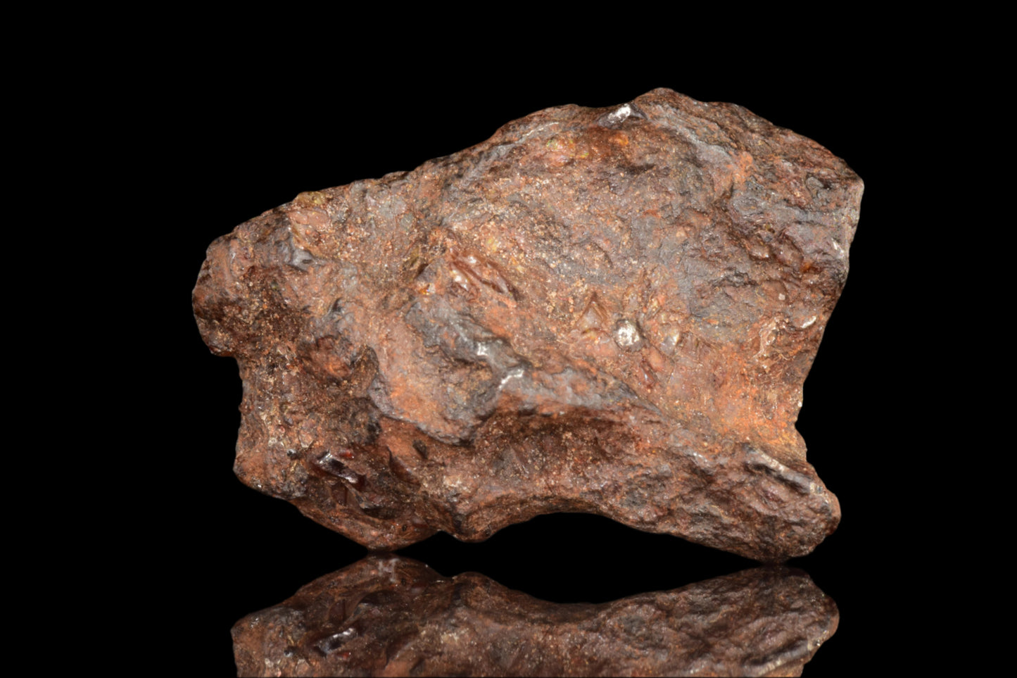 NWA 15971 Pallasite PMG 8.0 G.