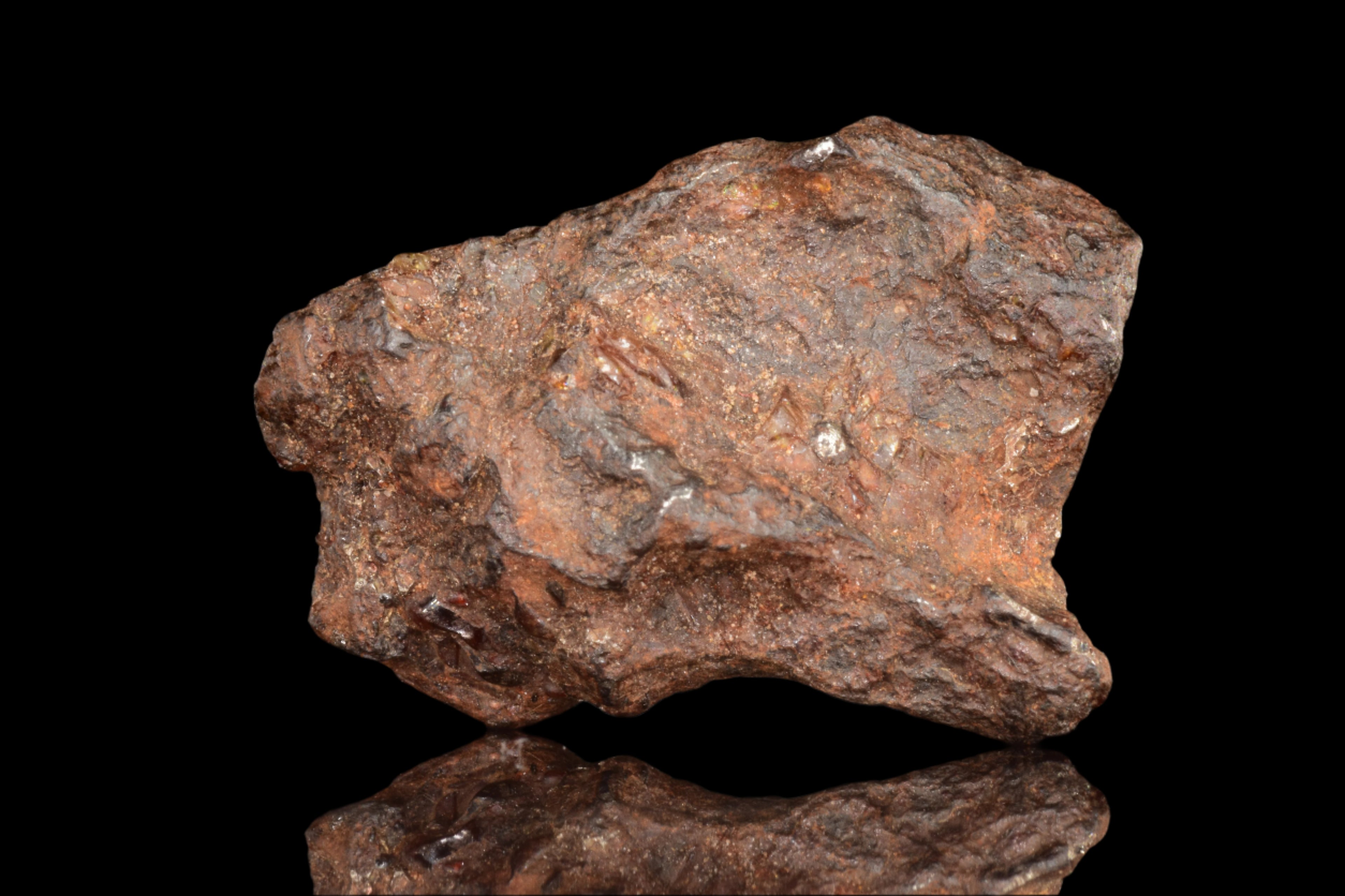 NWA 15971 Pallasite Meteorite