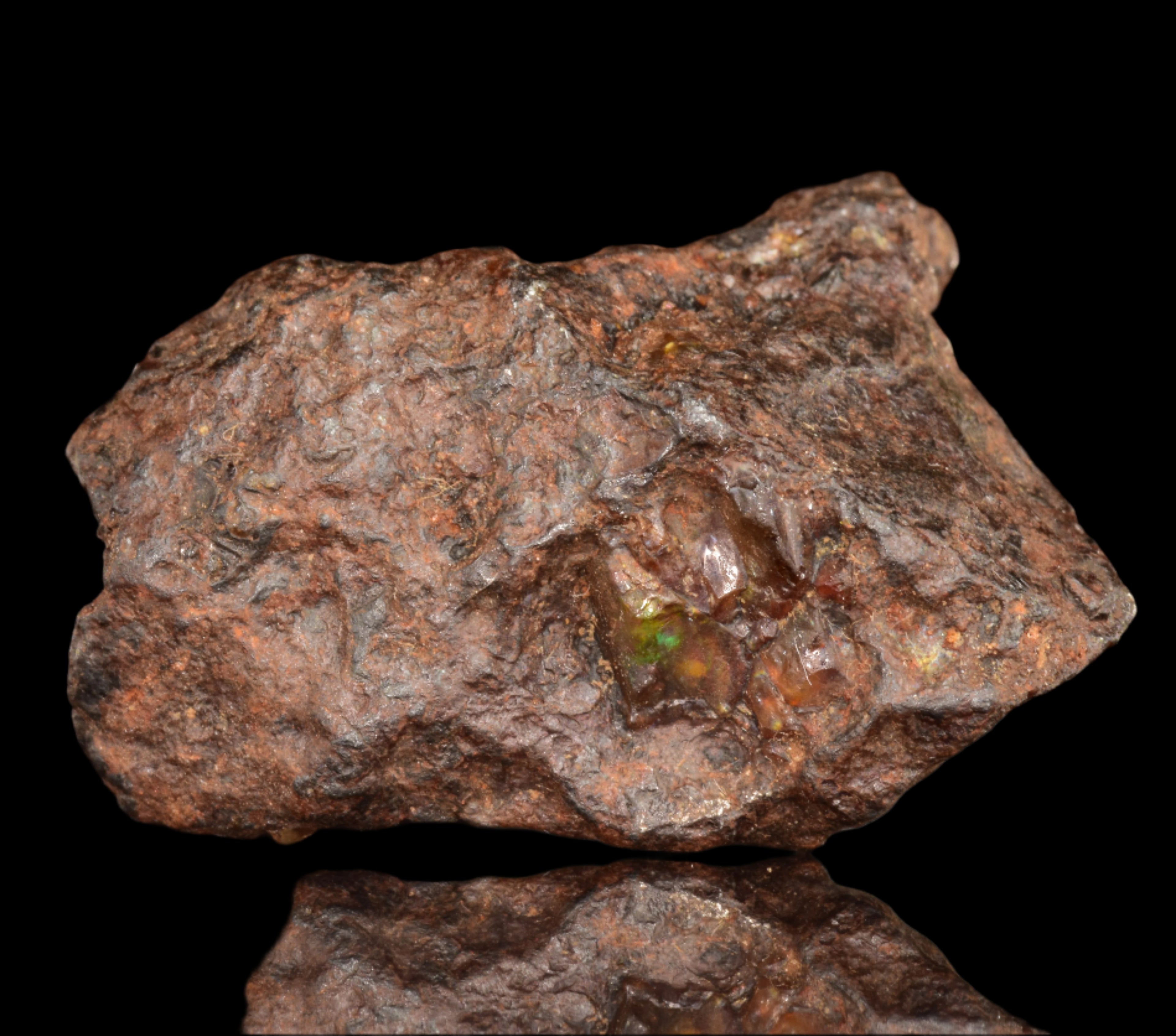 NWA 15971 Pallasite Meteorite