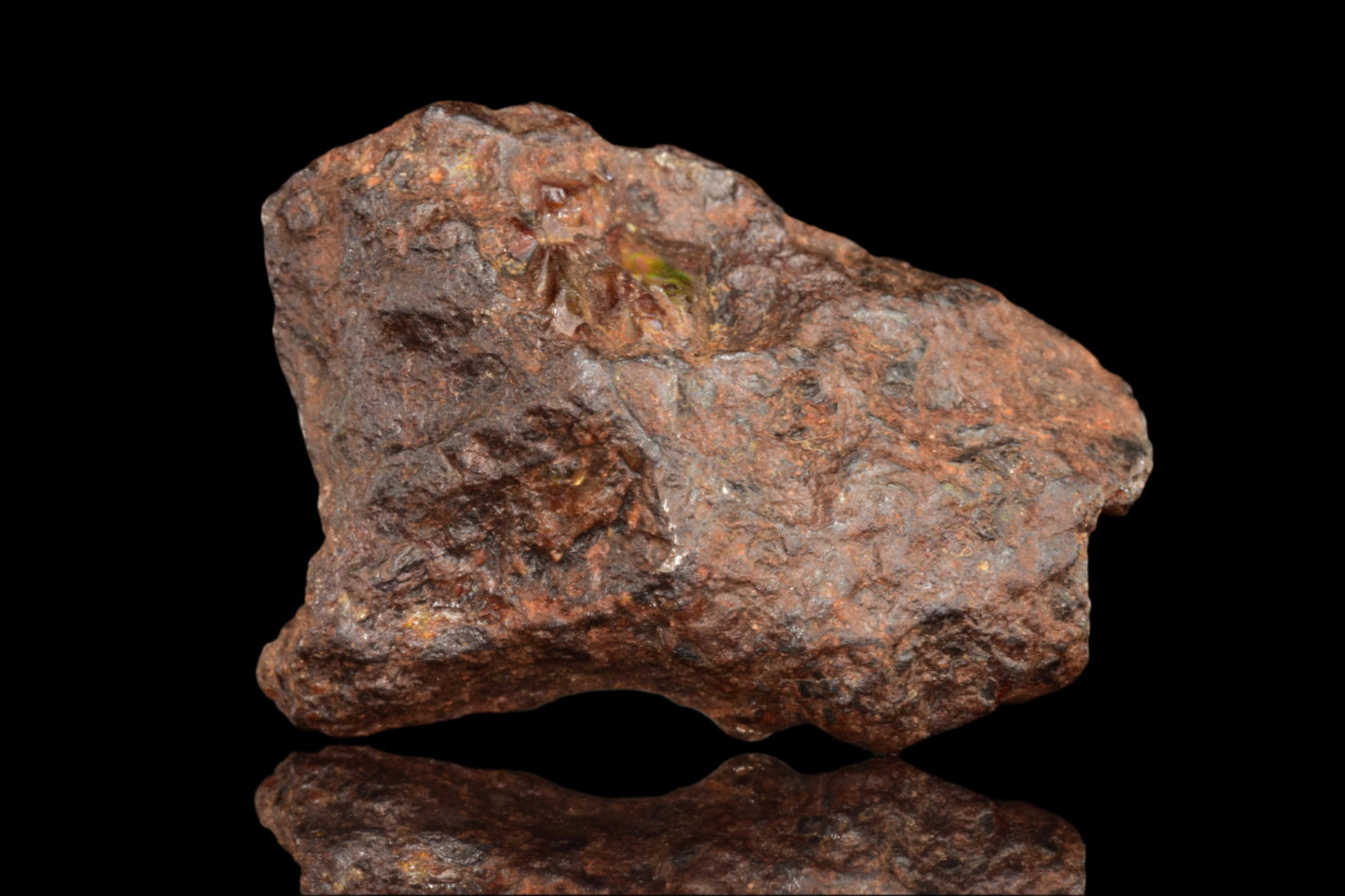 NWA 15971 Pallasite PMG 8.0 G.