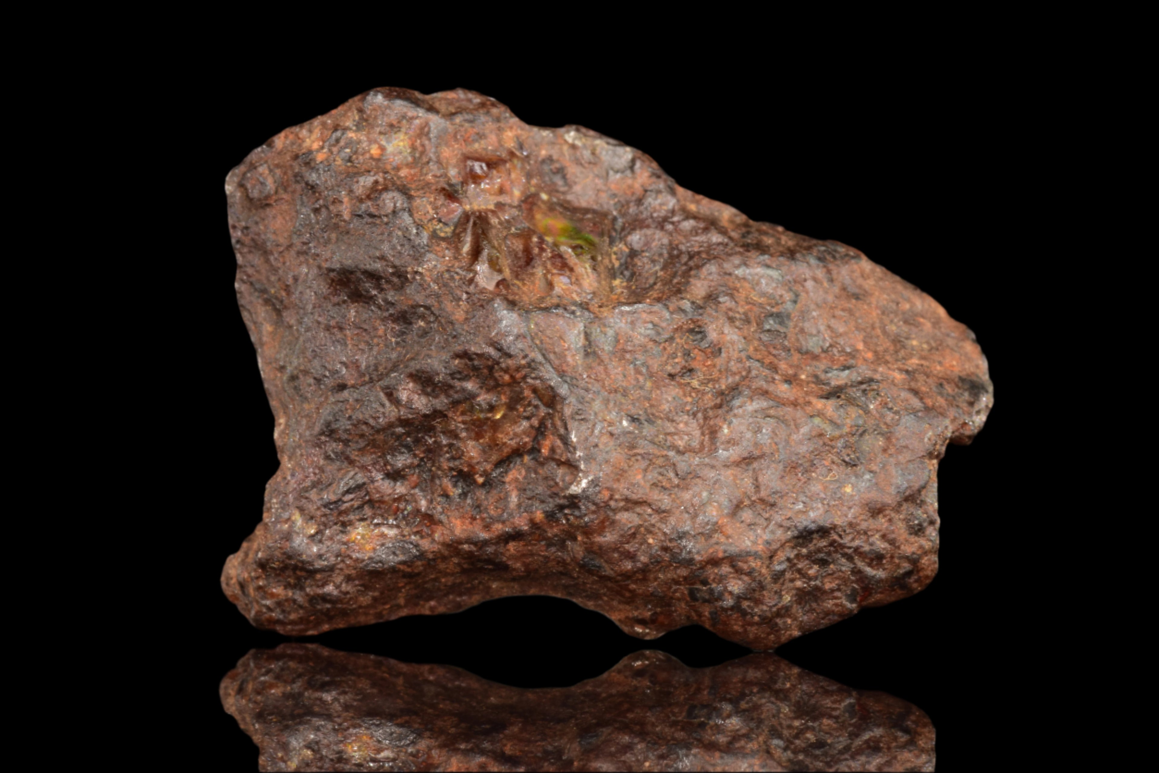 NWA 15971 Pallasite Meteorite