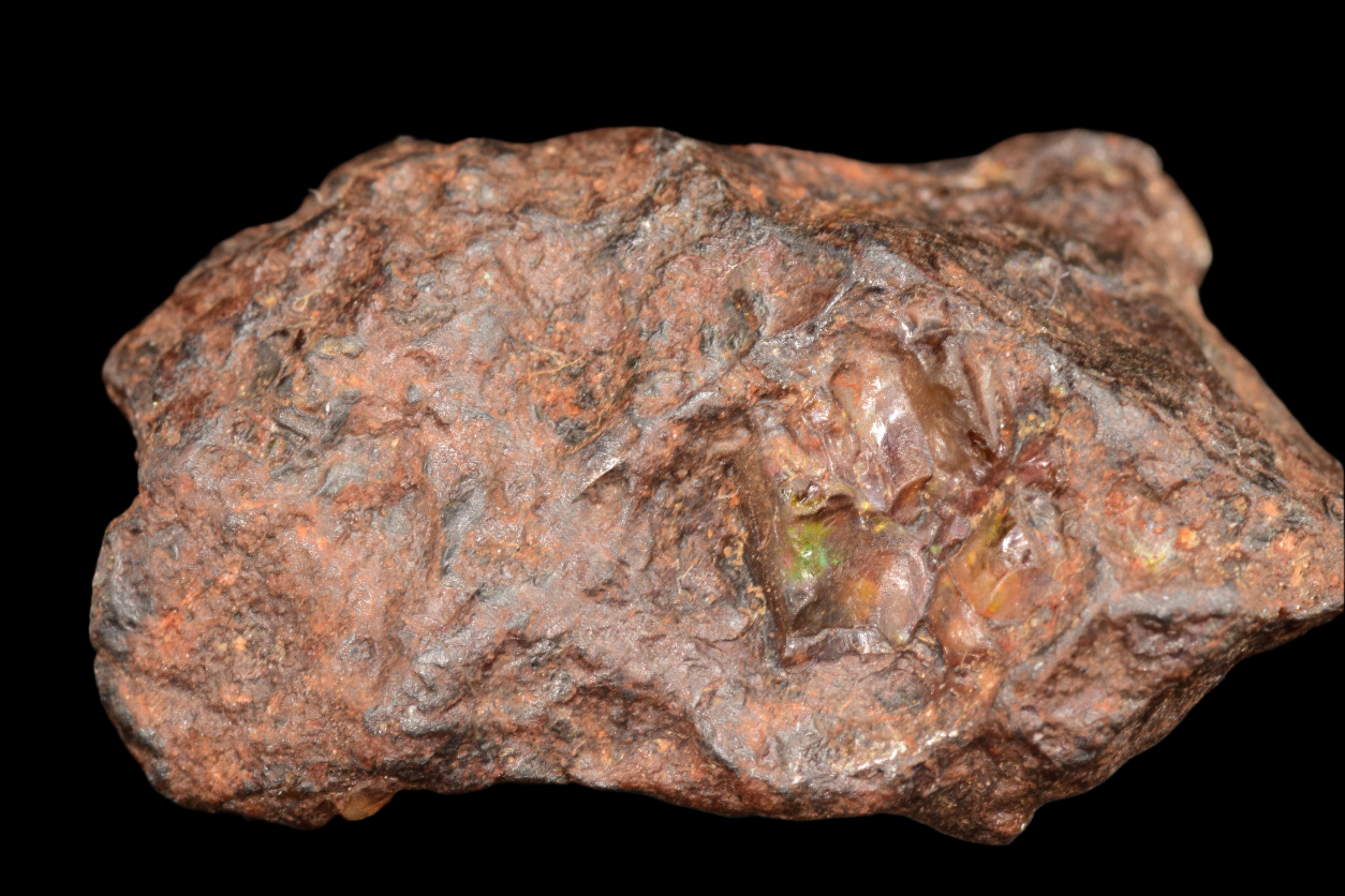 NWA 15971 Pallasite Meteorite