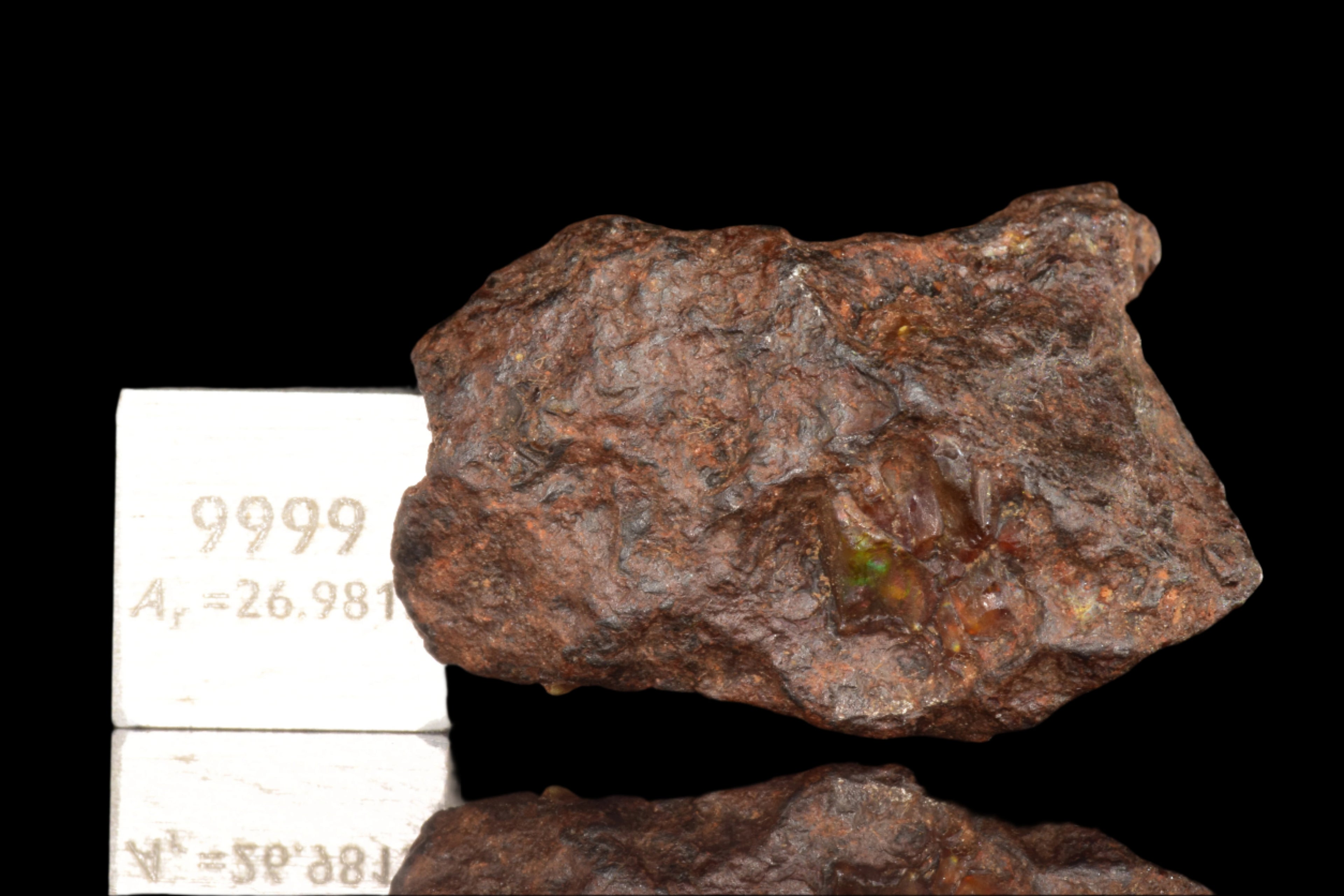 NWA 15971 Pallasite Meteorite