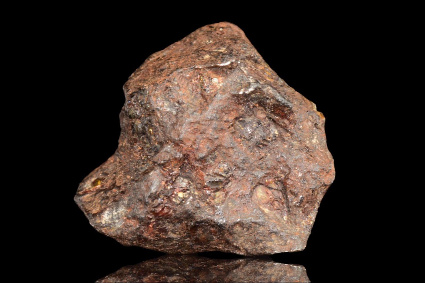 NWA 15971 Pallasite PMG 6.37 G.