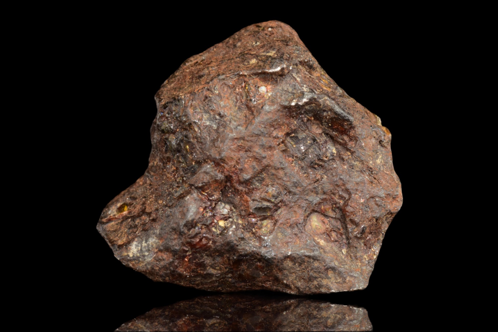 NWA 15971 Pallasite PMG 6.37 G.