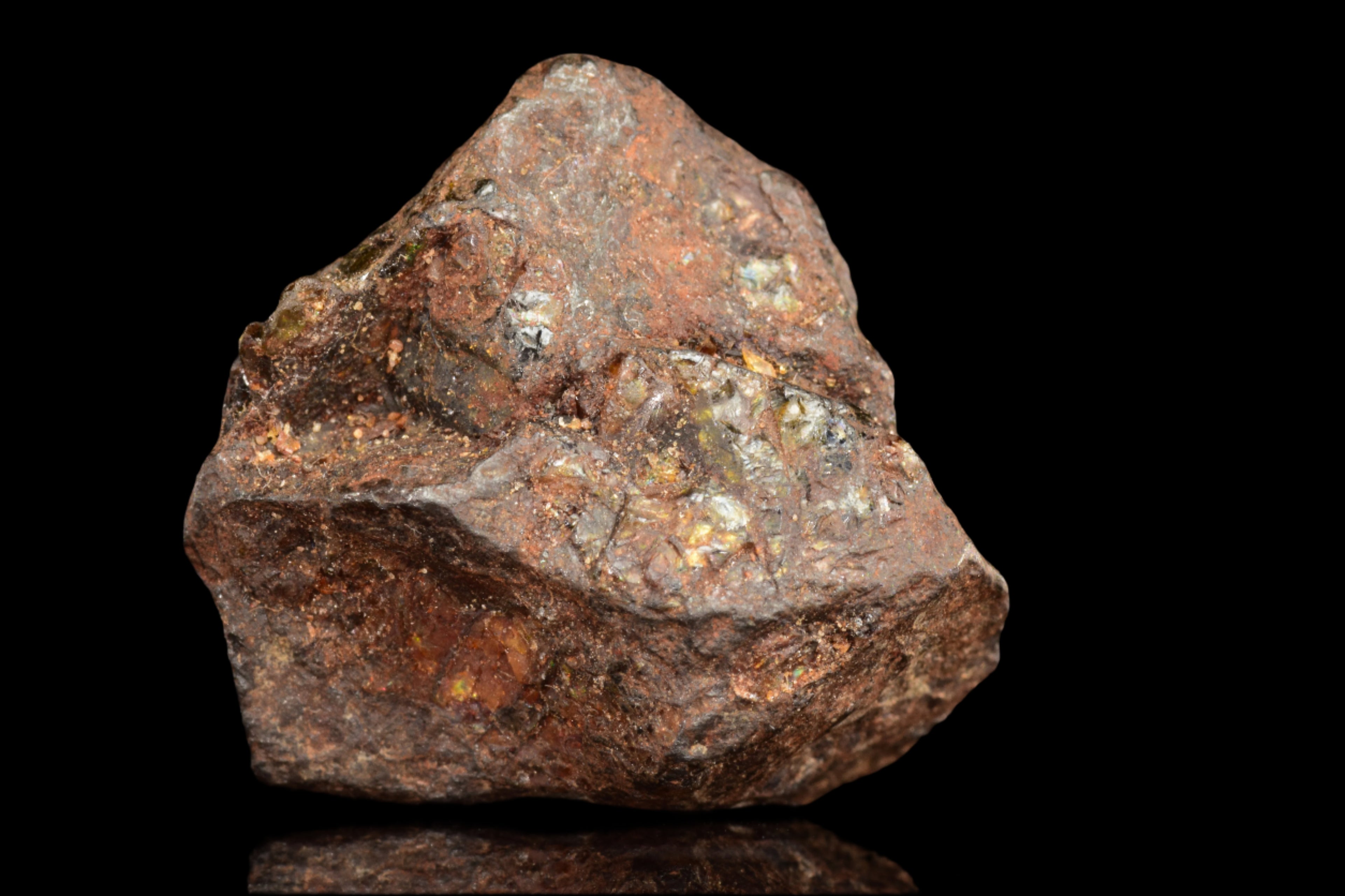 NWA 15971 Pallasite Meteorite