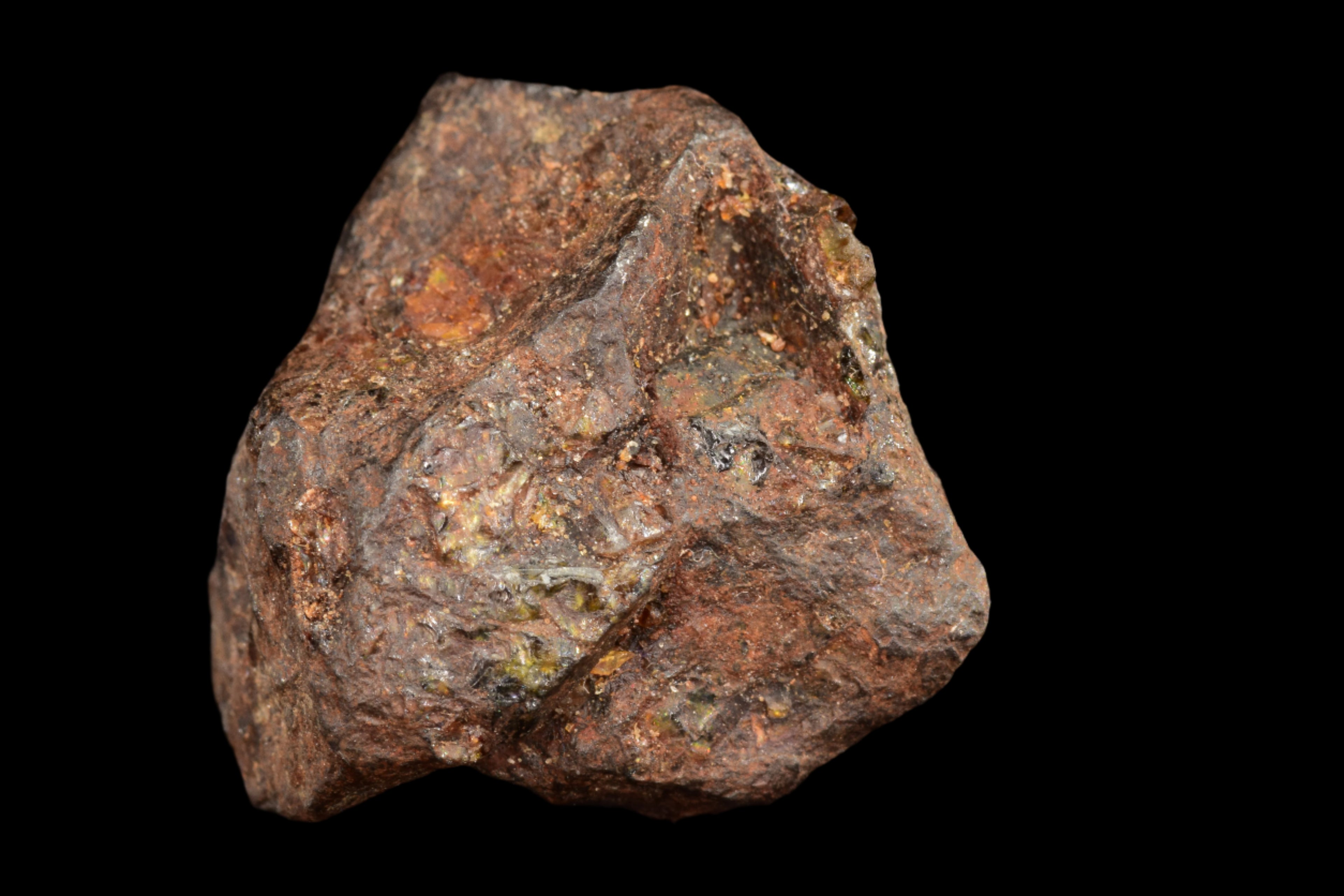 NWA 15971 Pallasite Meteorite