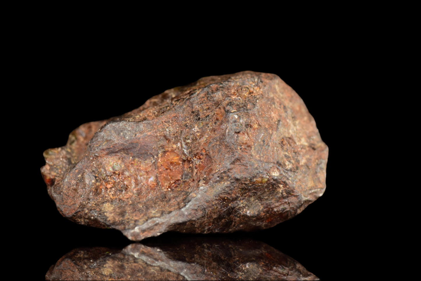 NWA 15971 Pallasite PMG 6.37 G.