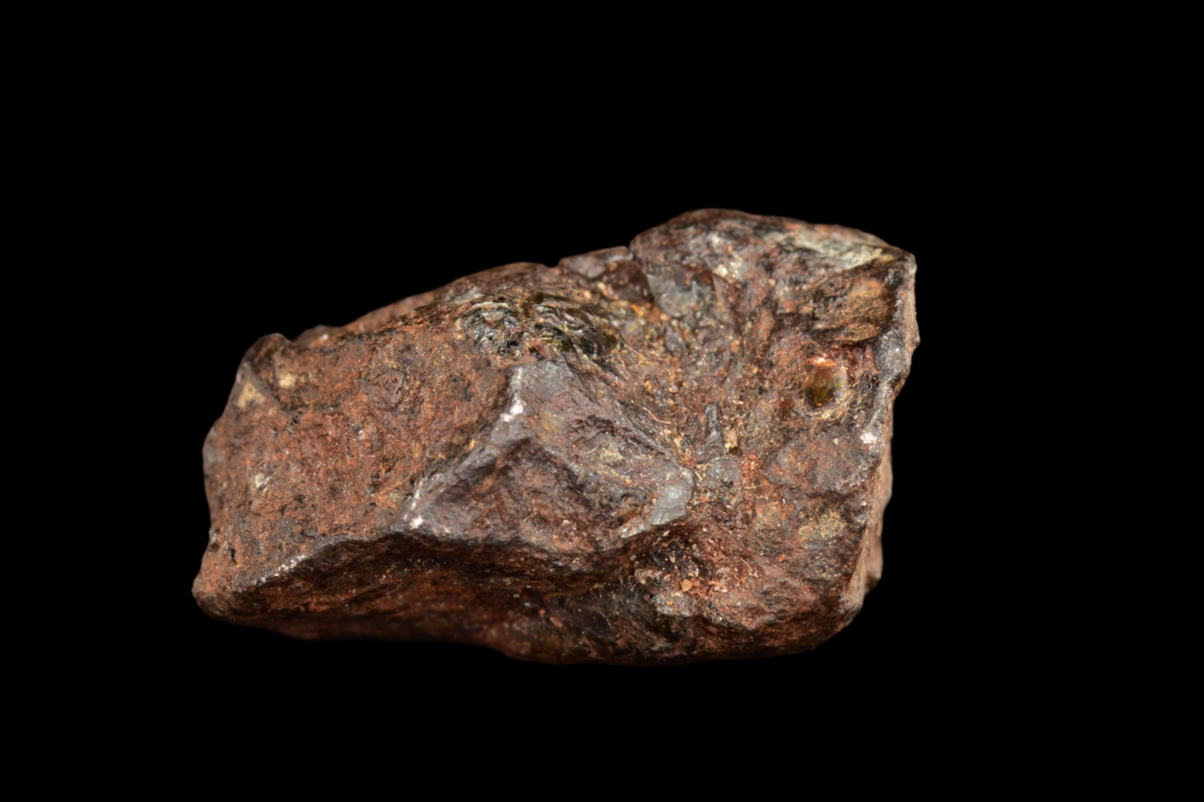 NWA 15971 Pallasite Meteorite