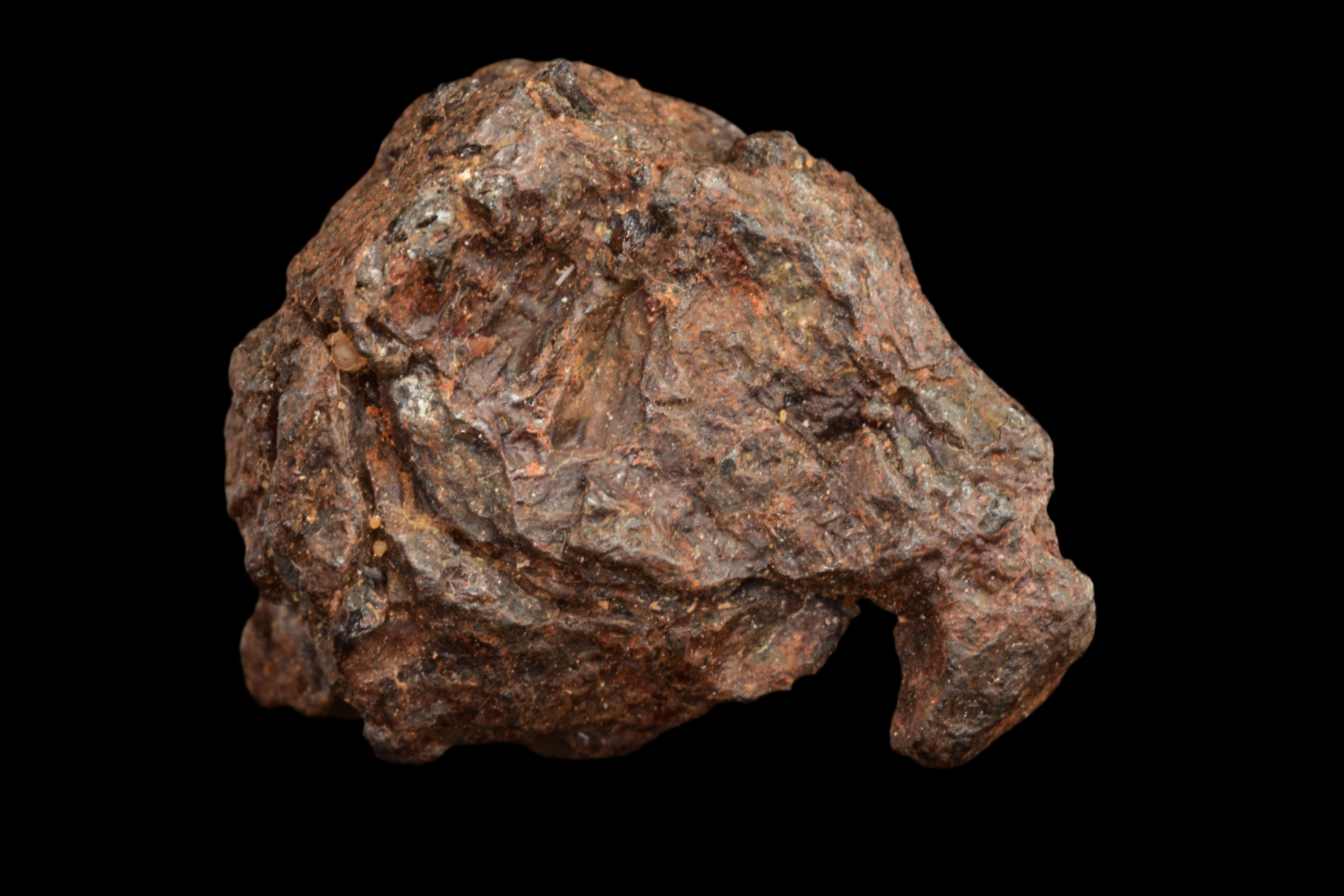 NWA 15971 Pallasite Meteorite