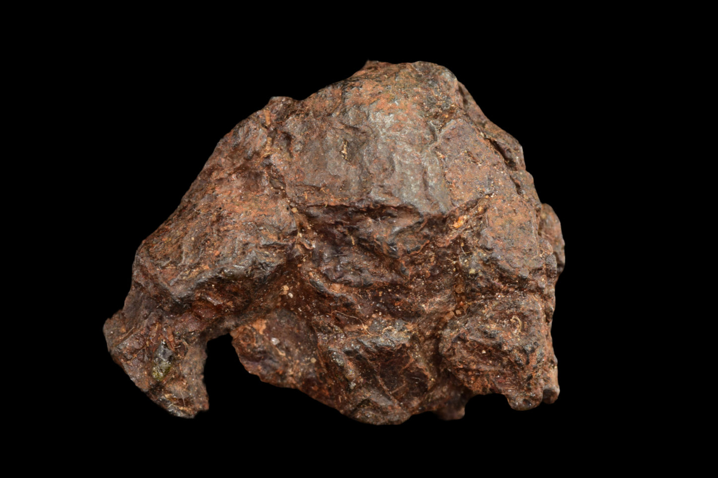 NWA 15971 Pallasite PMG 4.07 G.