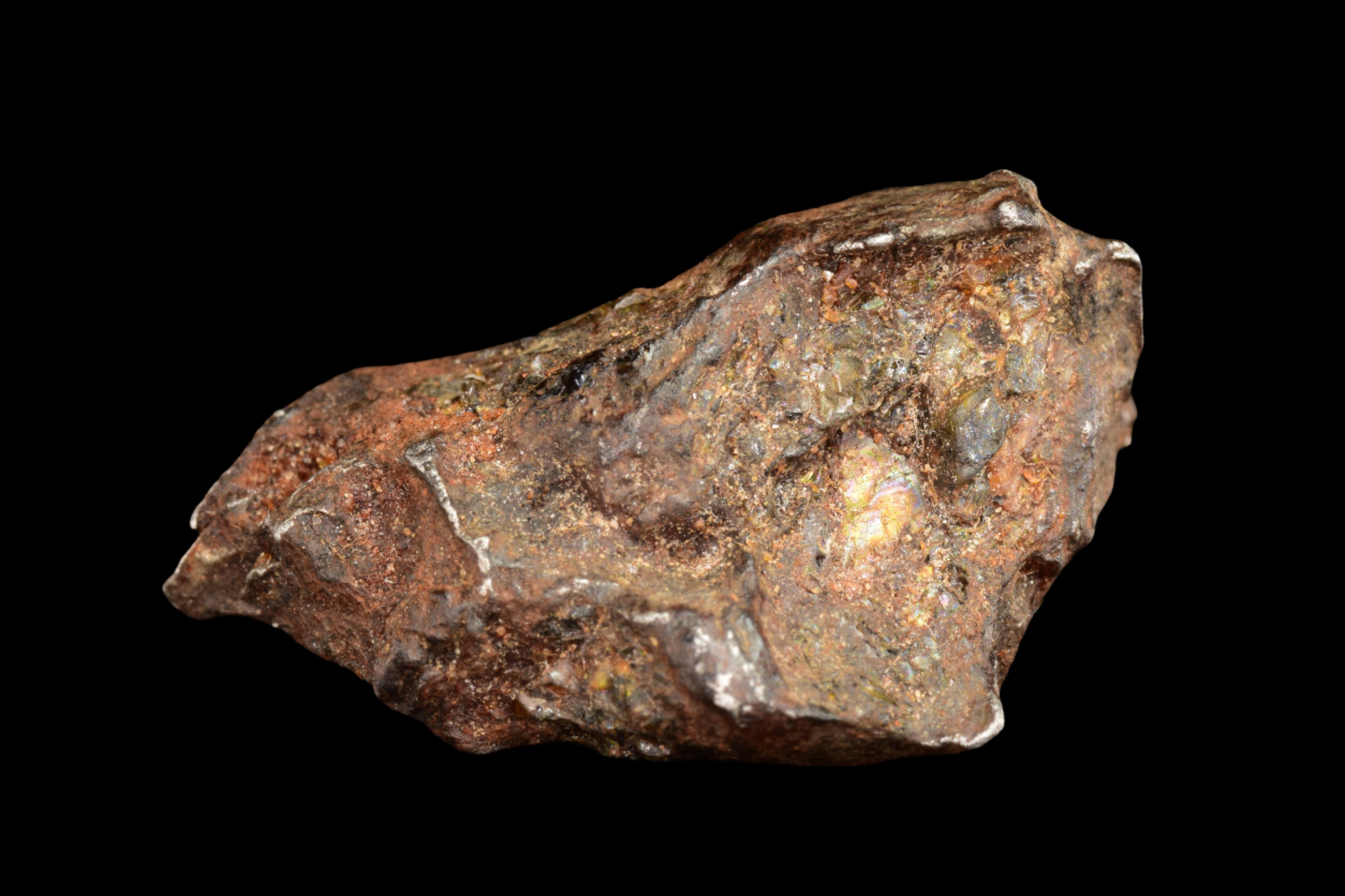 NWA 15971 Pallasite Meteorite