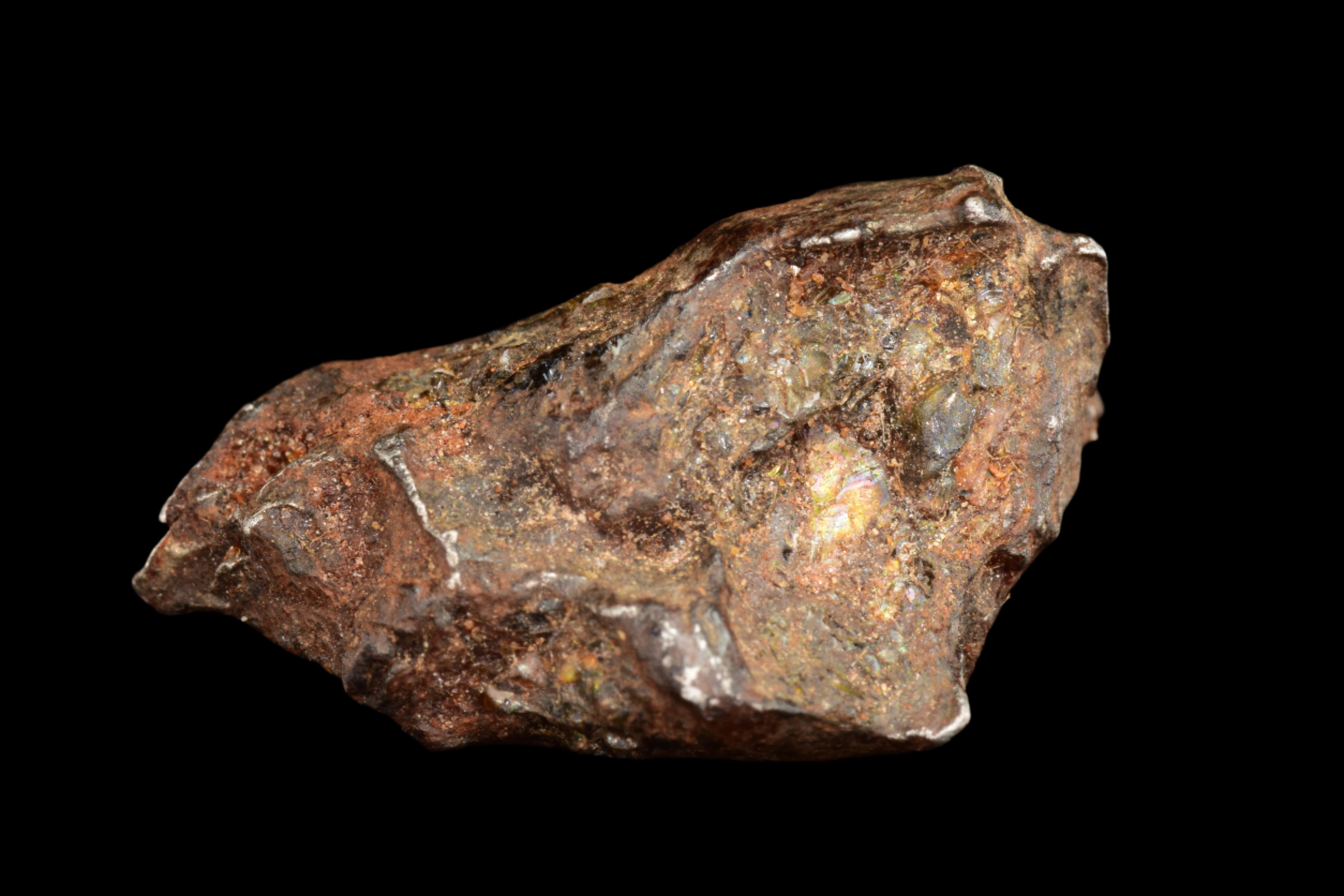 NWA 15971 Pallasite Meteorite