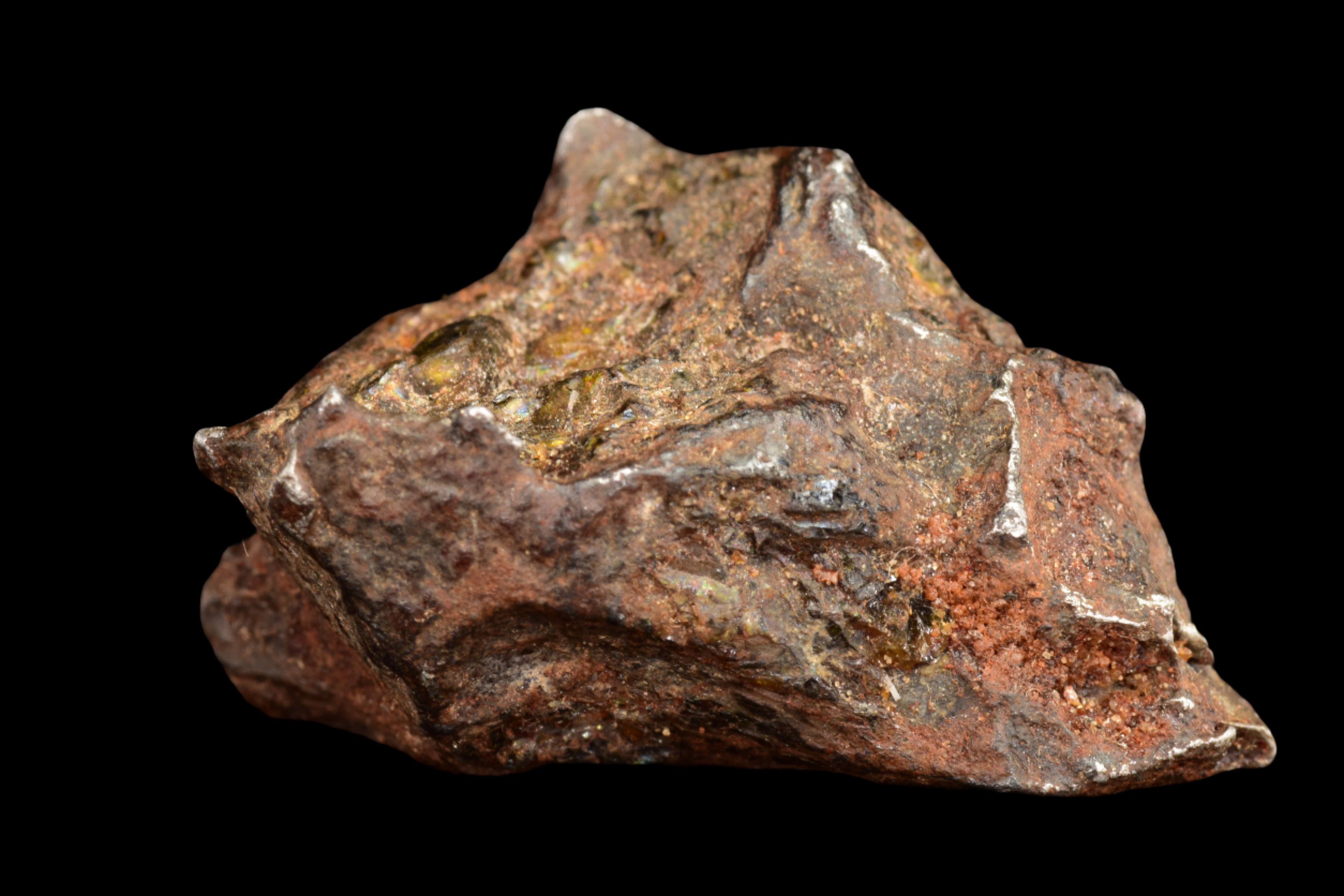 NWA 15971 Pallasite Meteorite