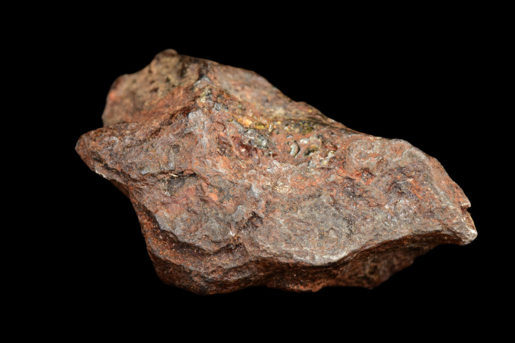 NWA 15971 Pallasite Meteorite