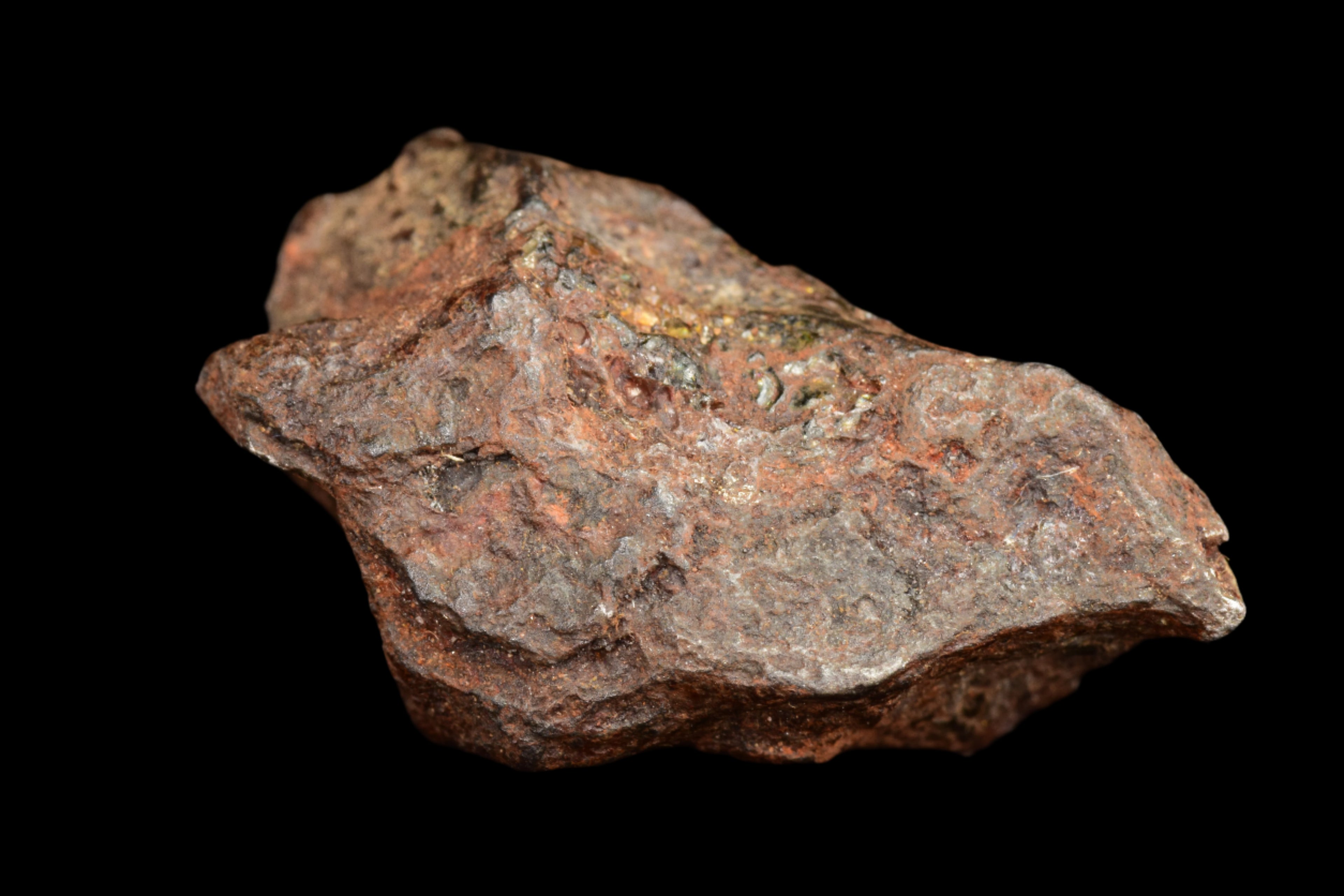 NWA 15971 Pallasite Meteorite