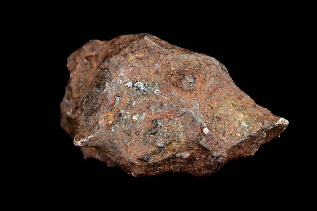 NWA 15971 Pallasite Meteorite