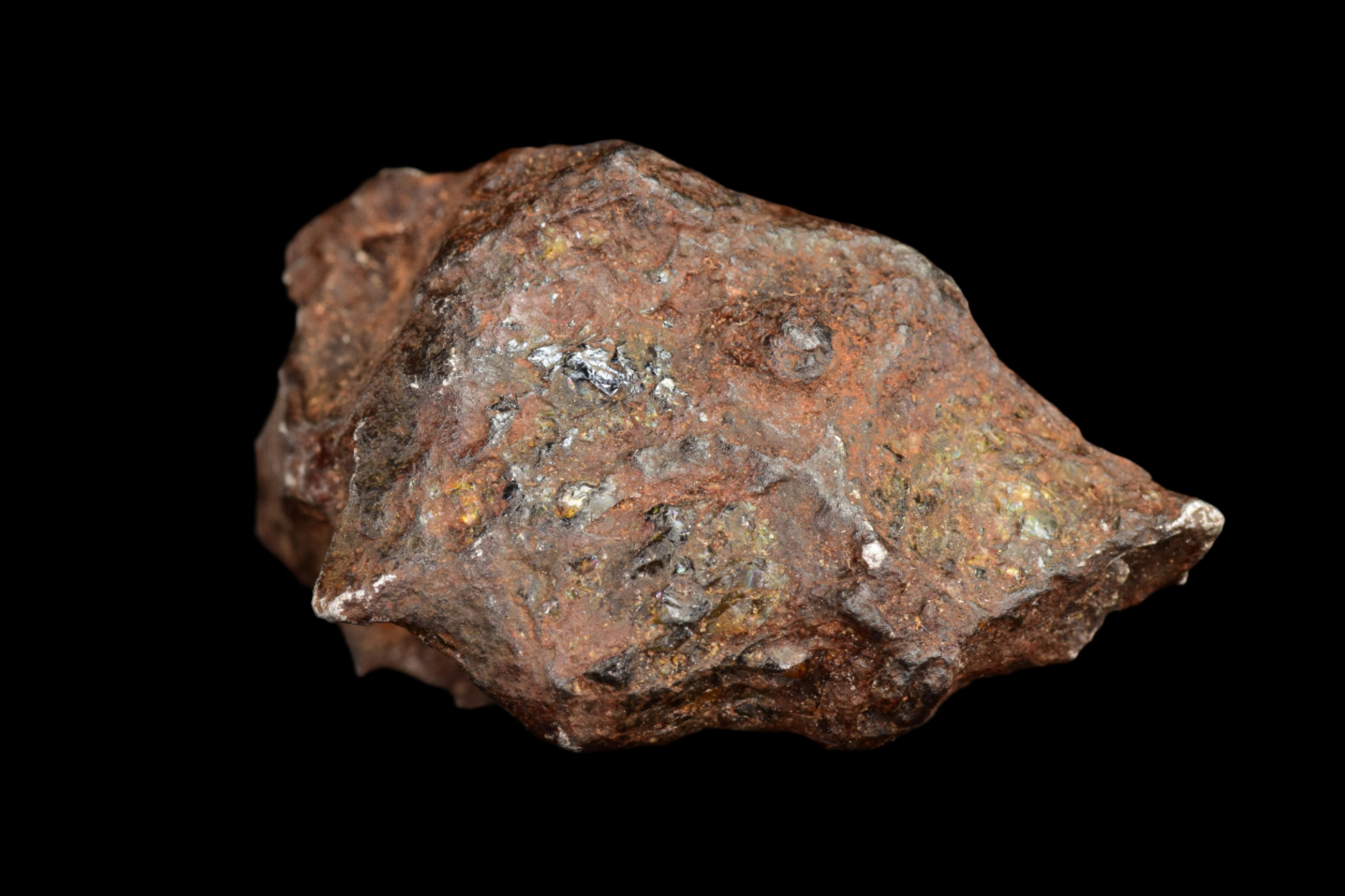 NWA 15971 Pallasite Meteorite