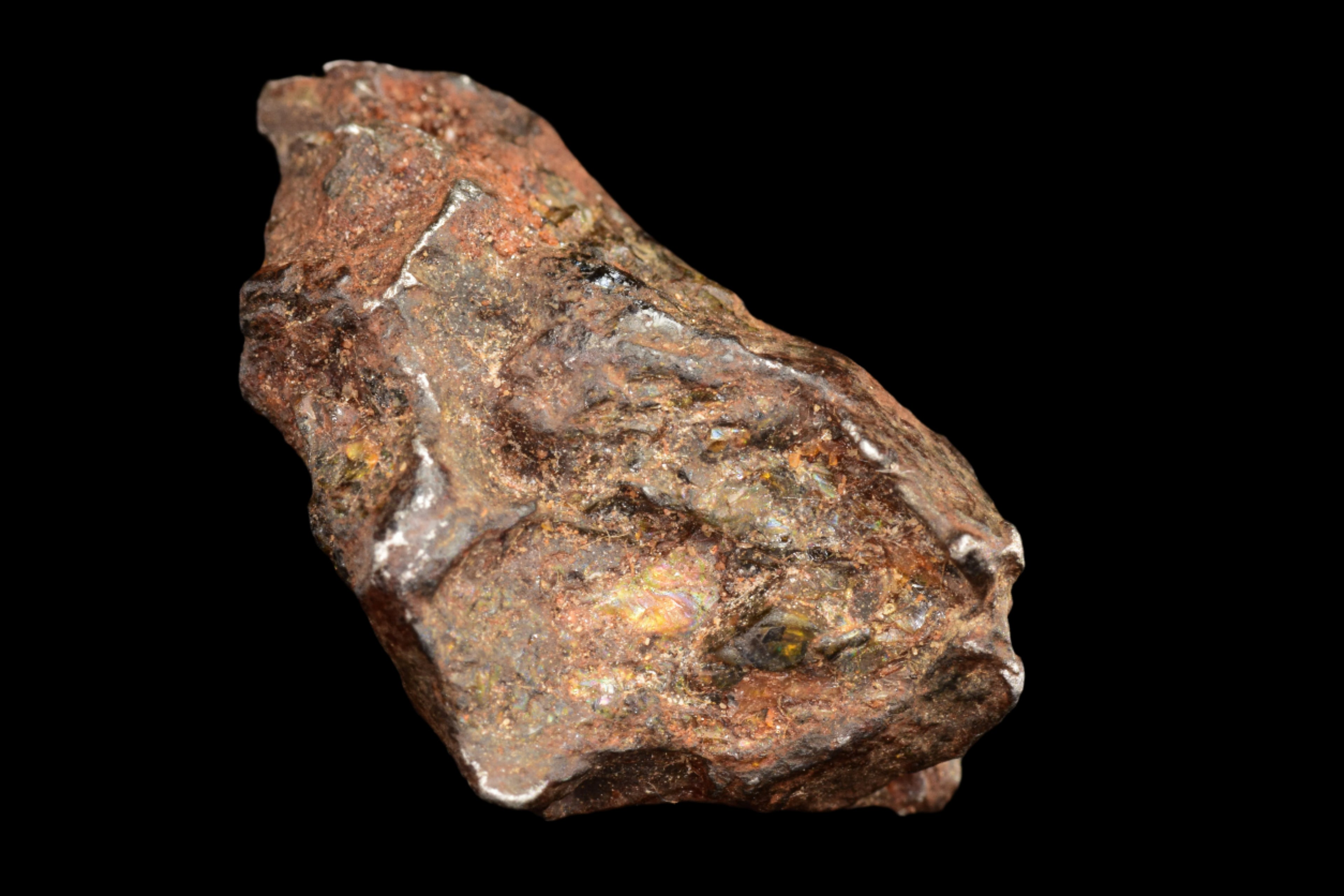 NWA 15971 Pallasite Meteorite