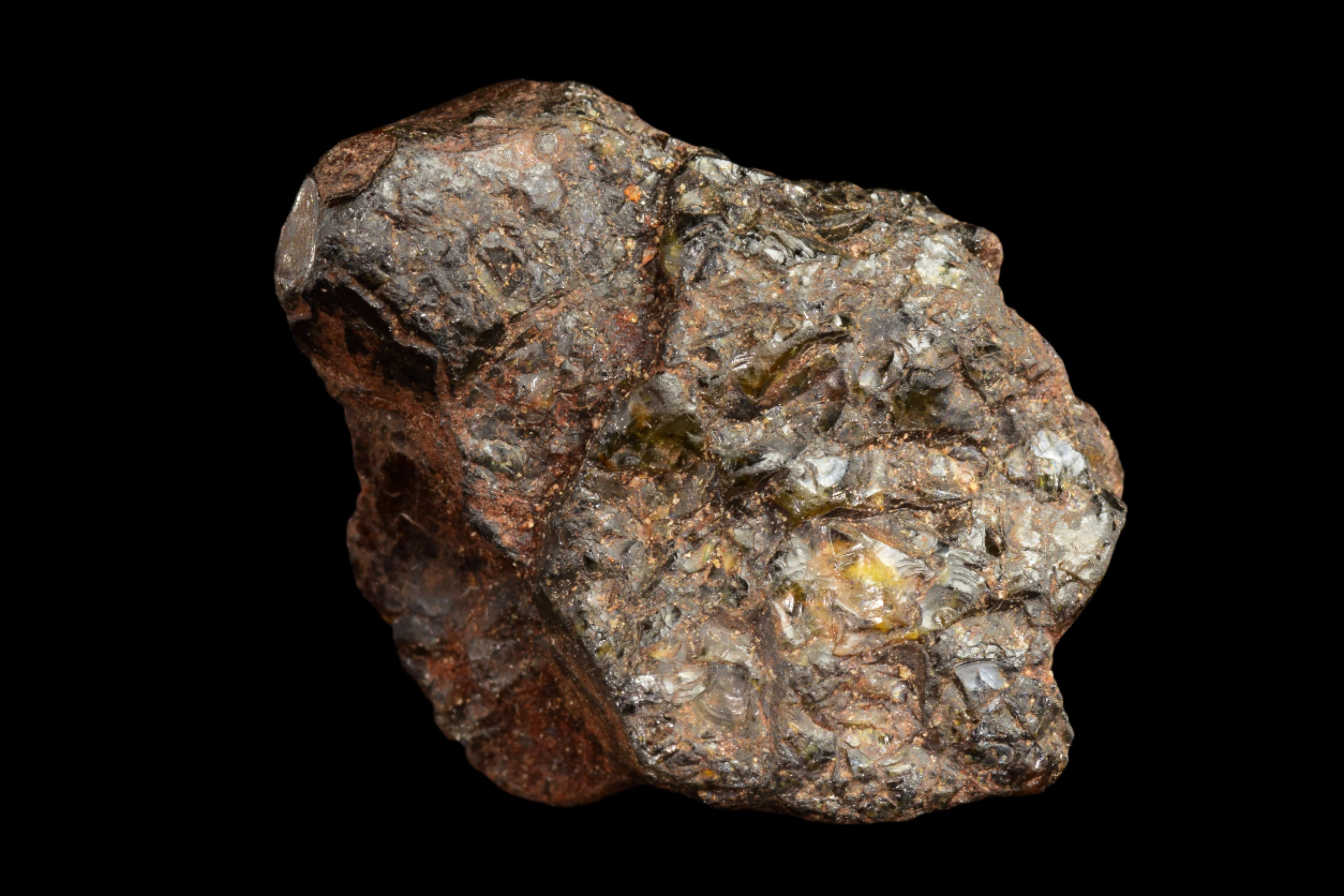 NWA 15971 Pallasite Meteorite