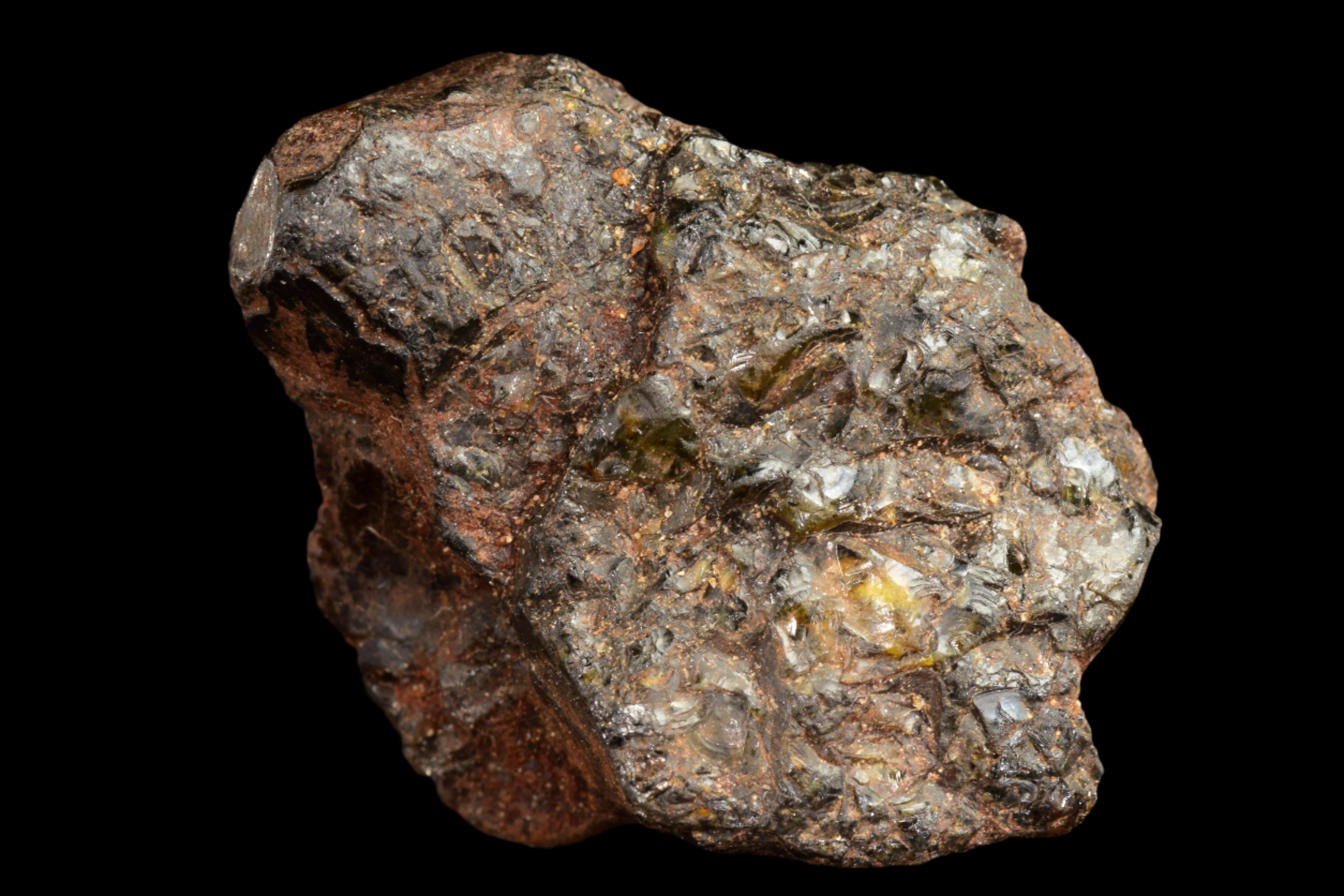 NWA 15971 Pallasite Meteorite