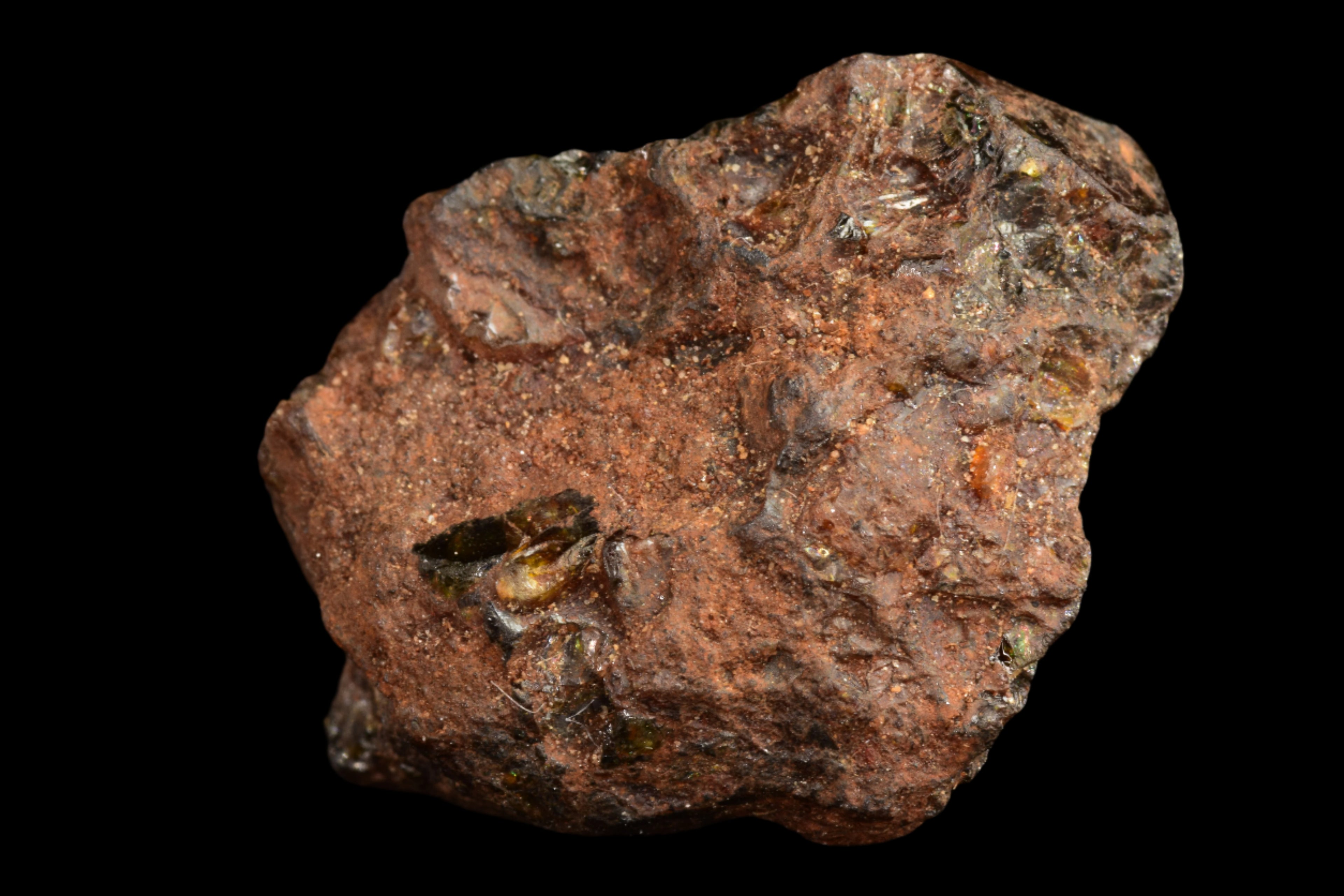 NWA 15971 Pallasite Meteorite