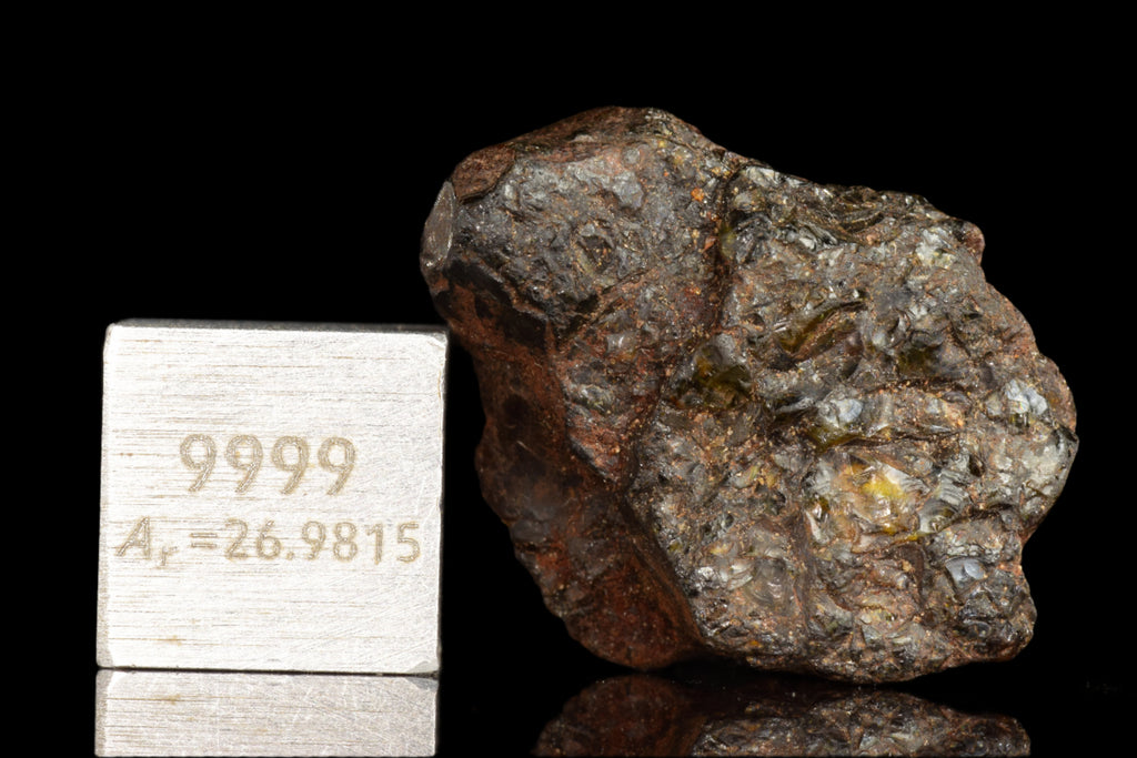 NWA 15971 Pallasite Meteorite
