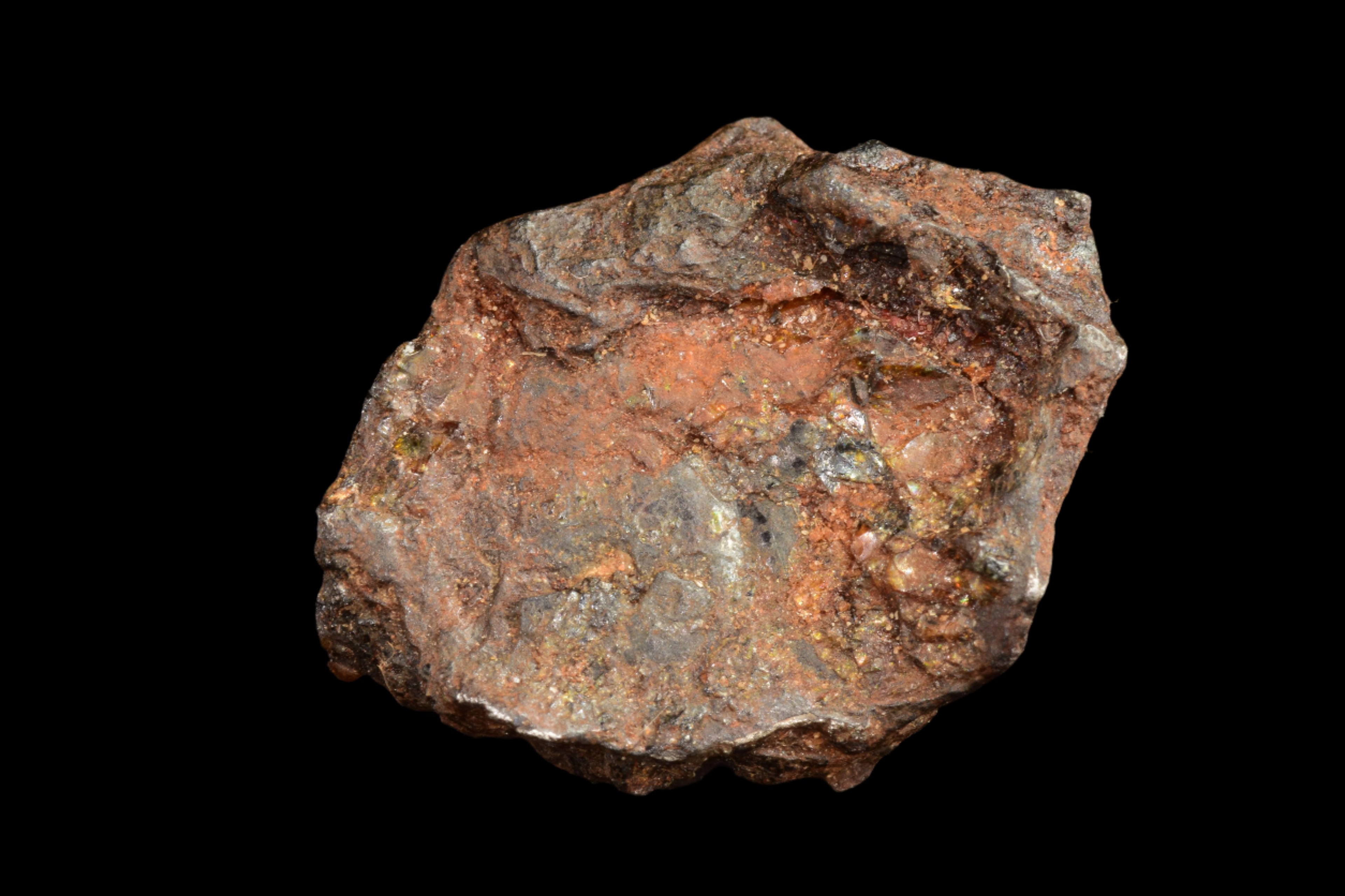 NWA 15971 Pallasite Meteorite